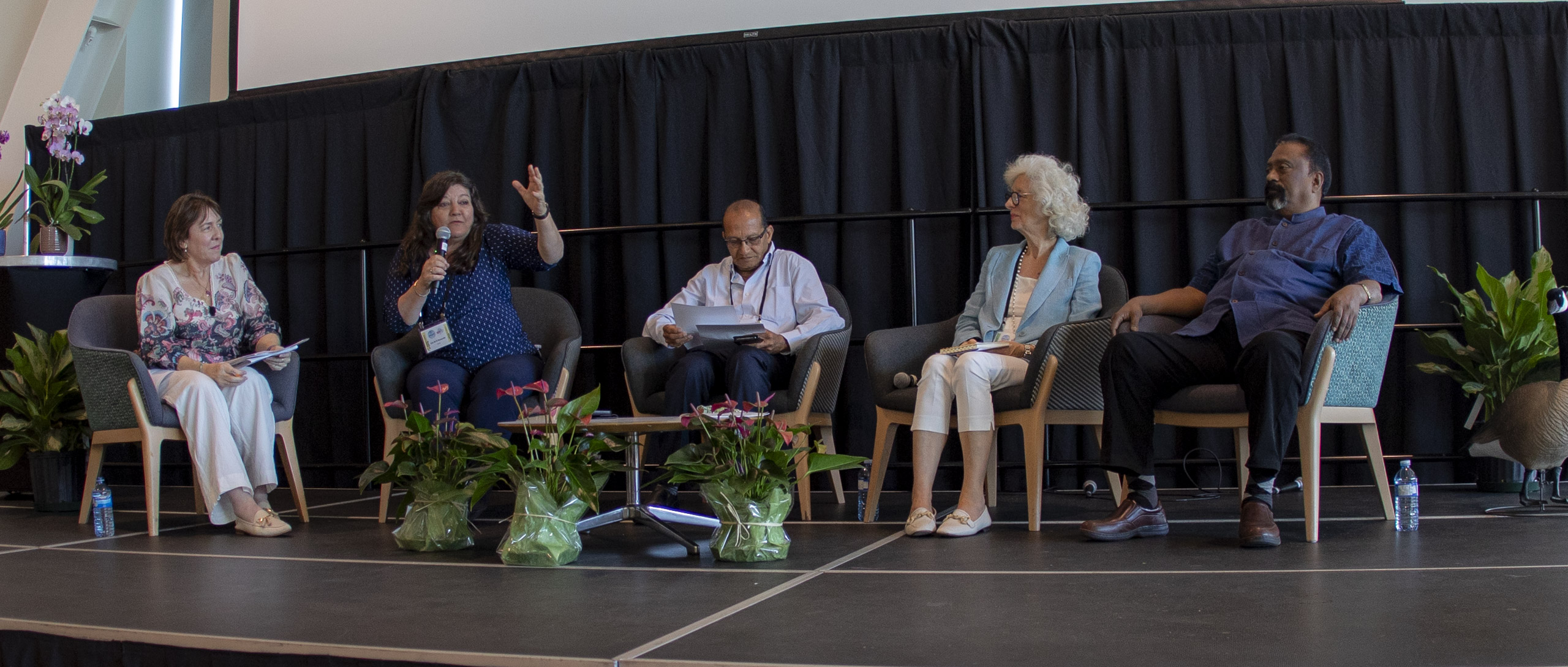 20250724 160615 RD4 5380