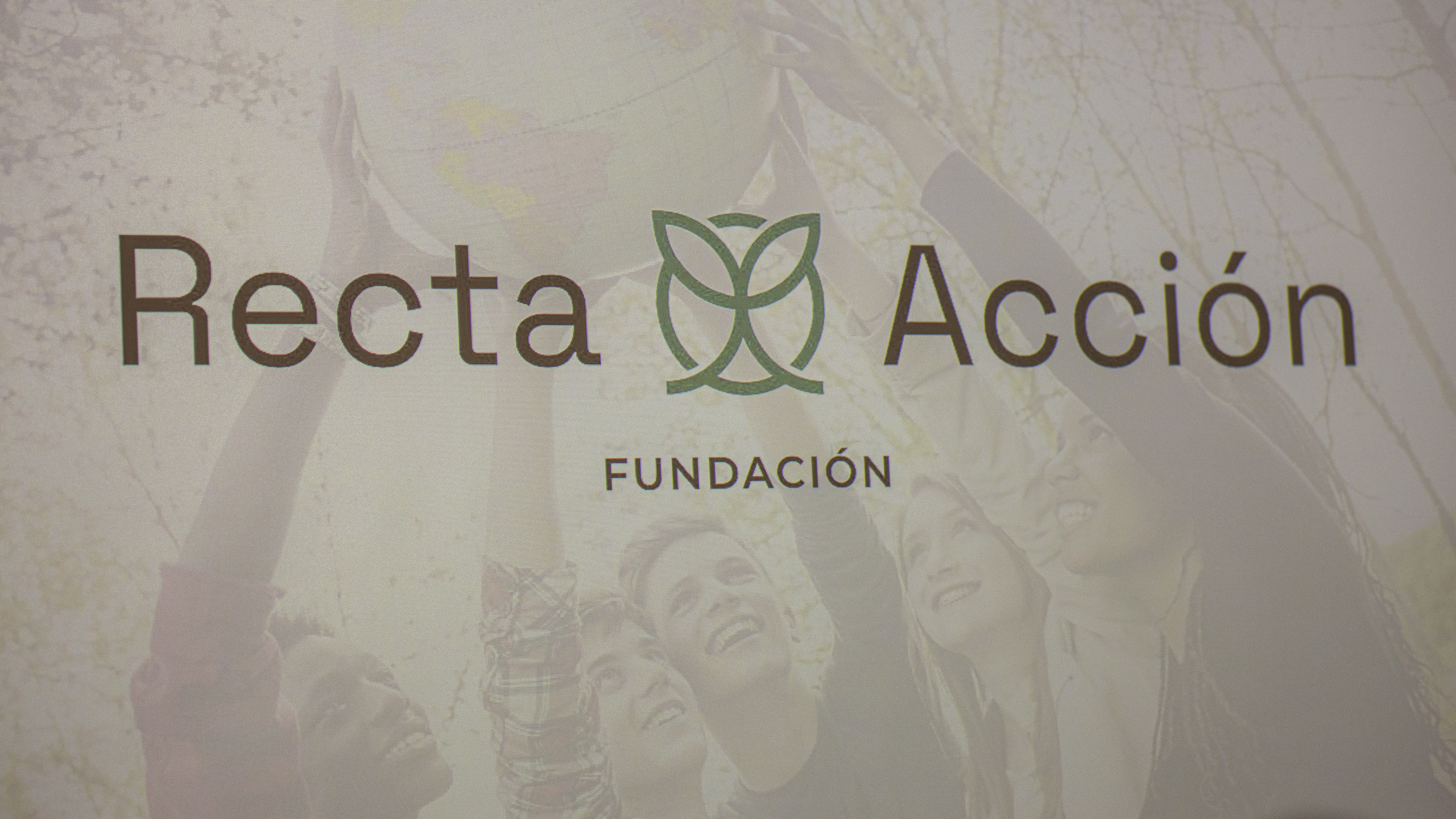 20250728 163350 RD4 9329