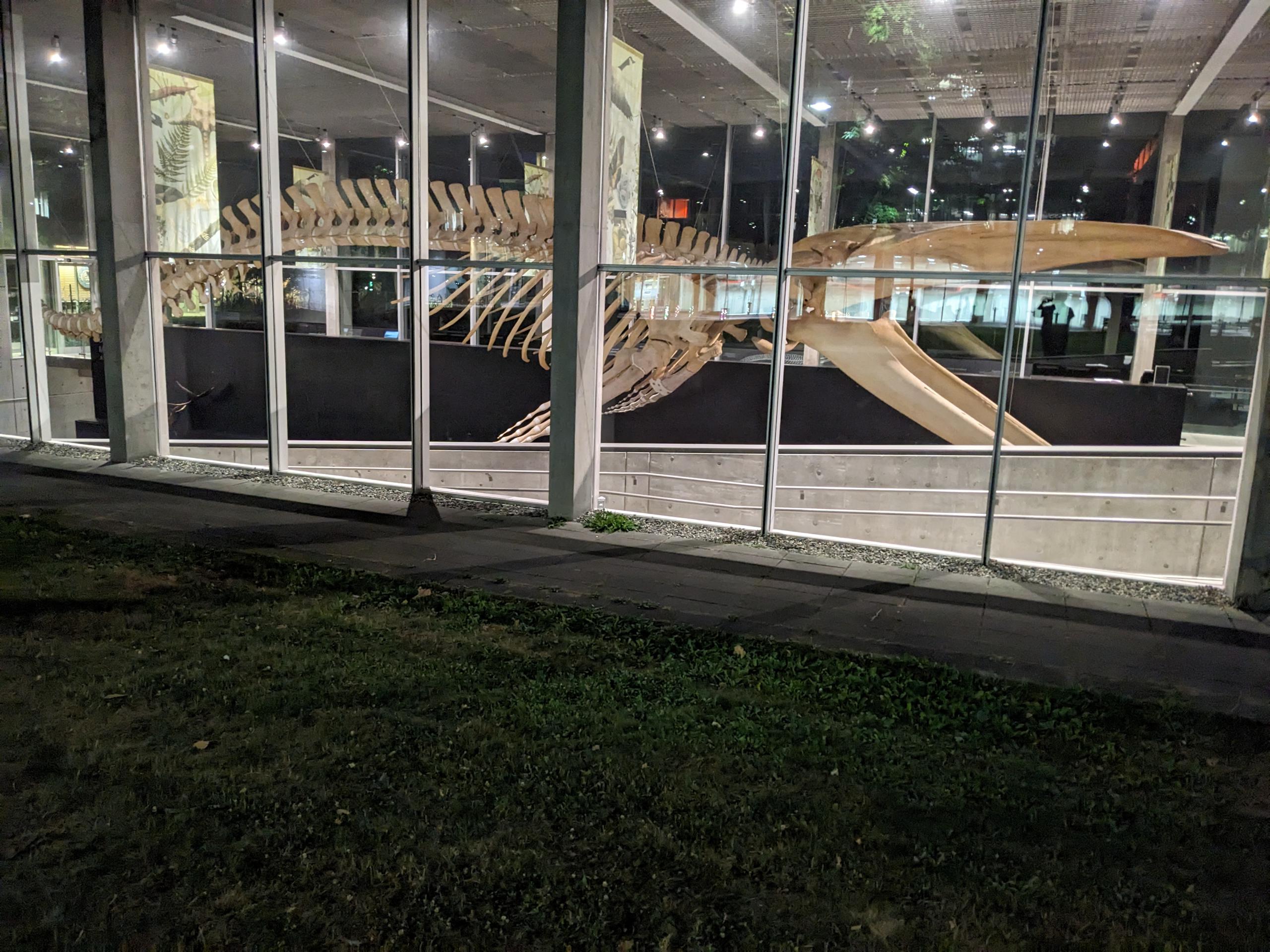 PXL 20250730 050220037