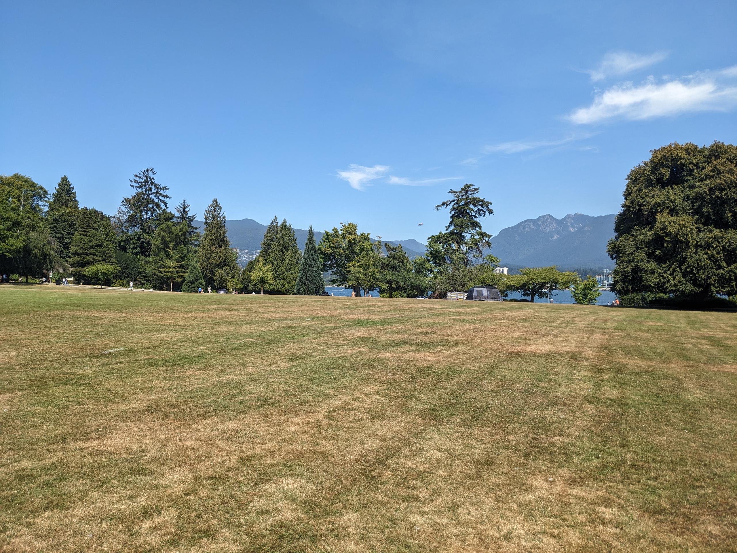 PXL 20250730 194925954