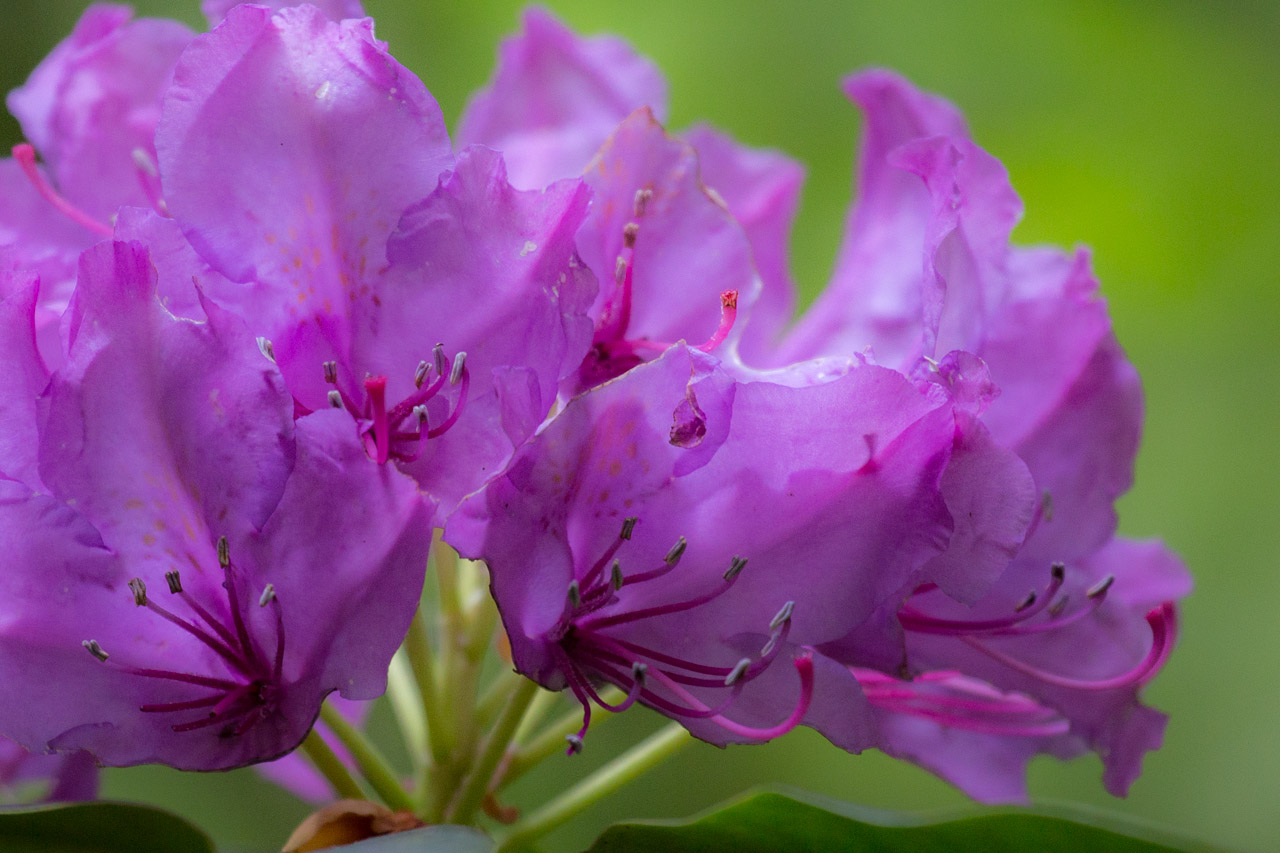 20130614125810 29228