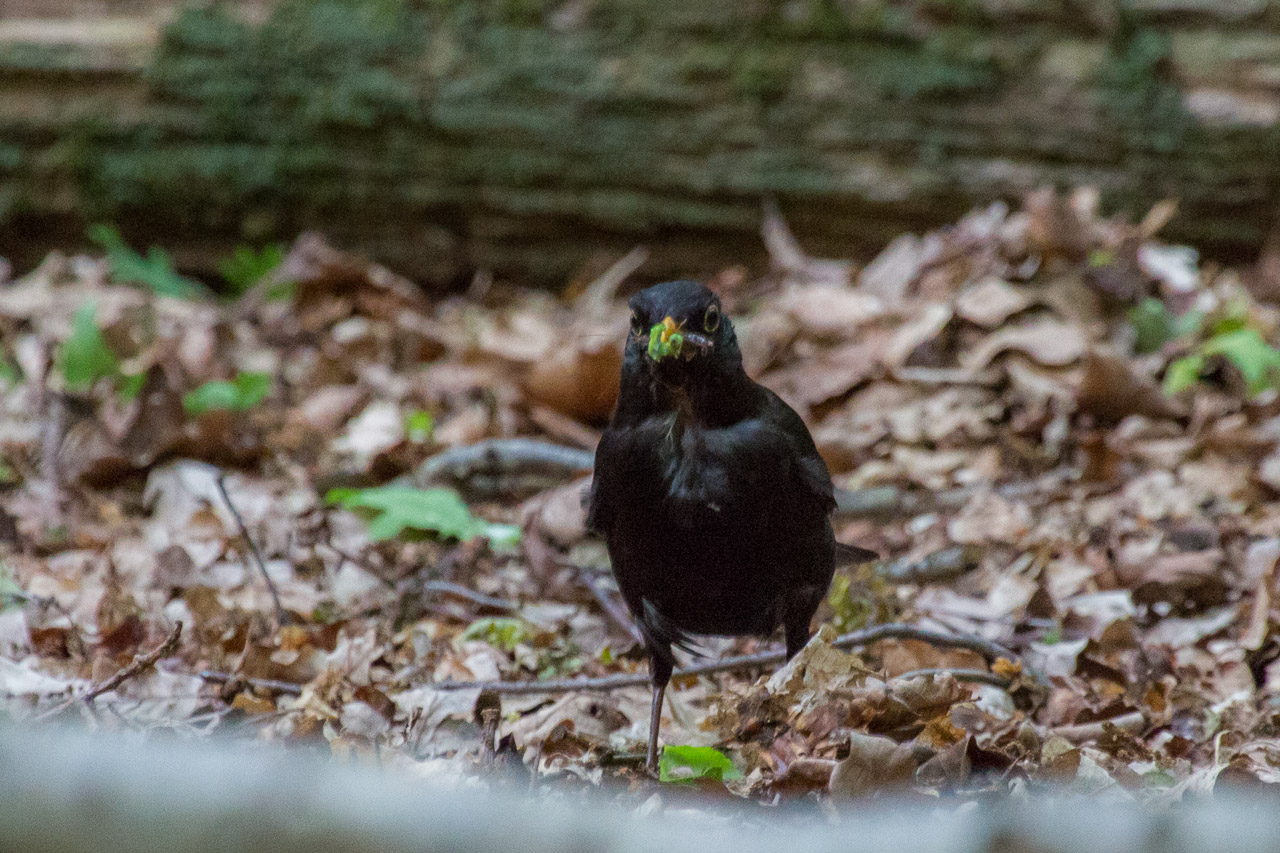 20130615191056 29325