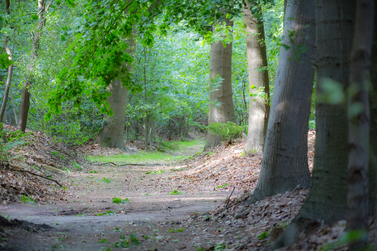 20130615191320 29339