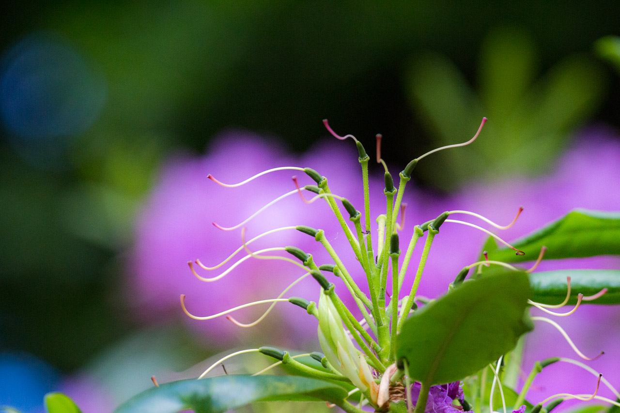 20130615191825 29380