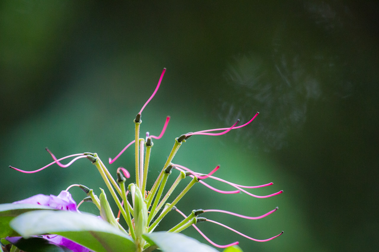 20130615192025 29406