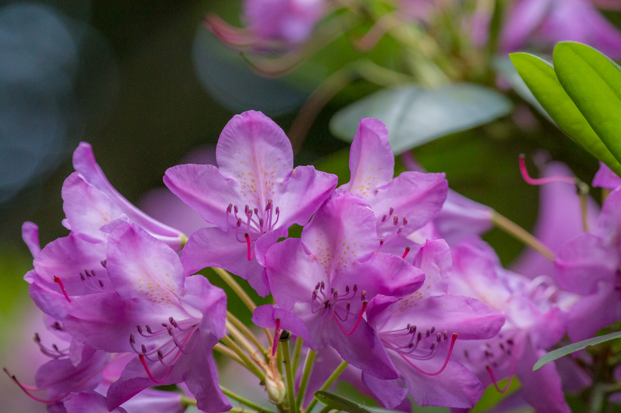 20130615192242 29444