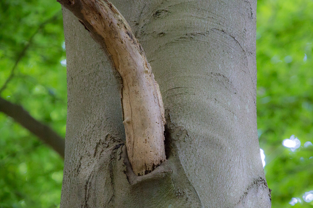 20130615192700 29474