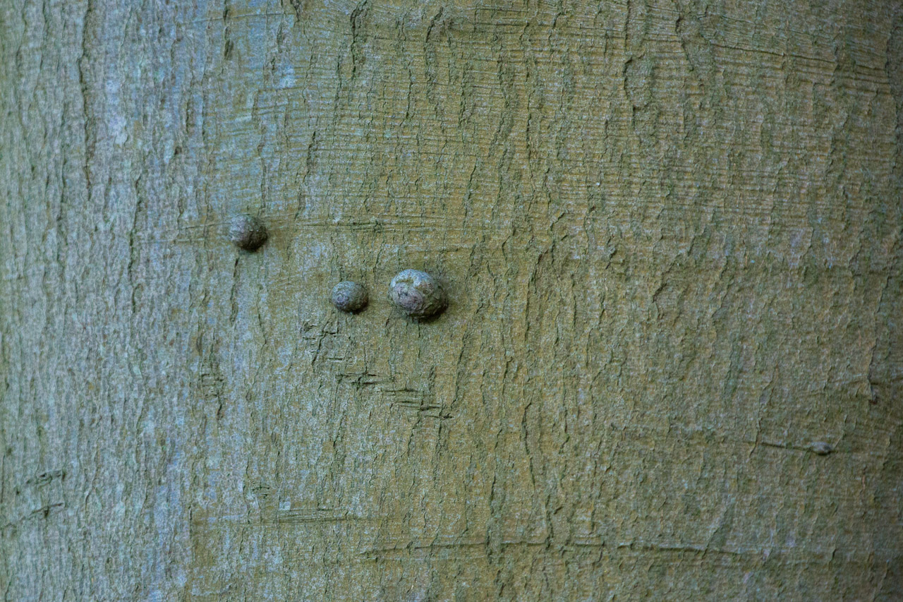 20130615193421 29551