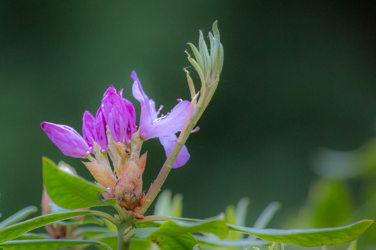 20130616205244 29818