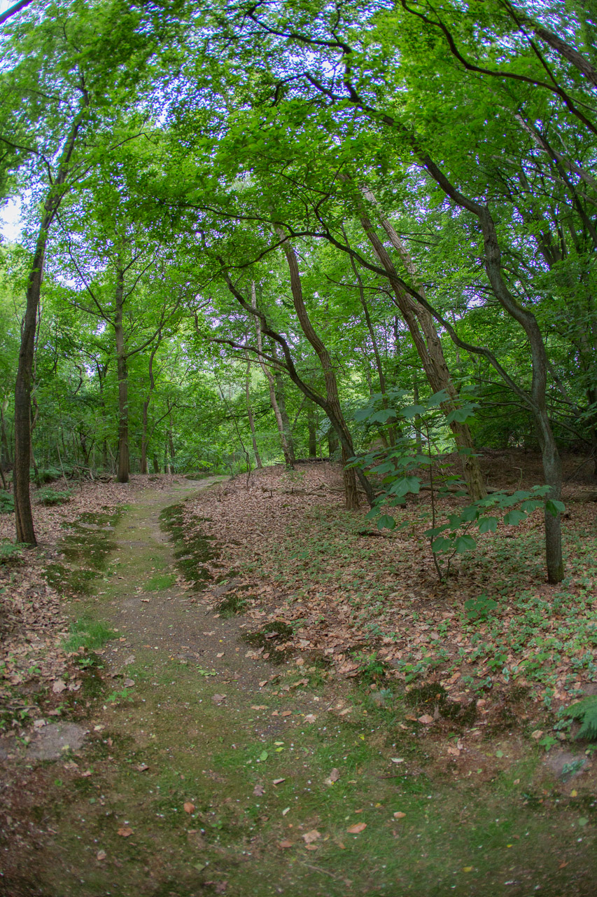 20130618192347 20958