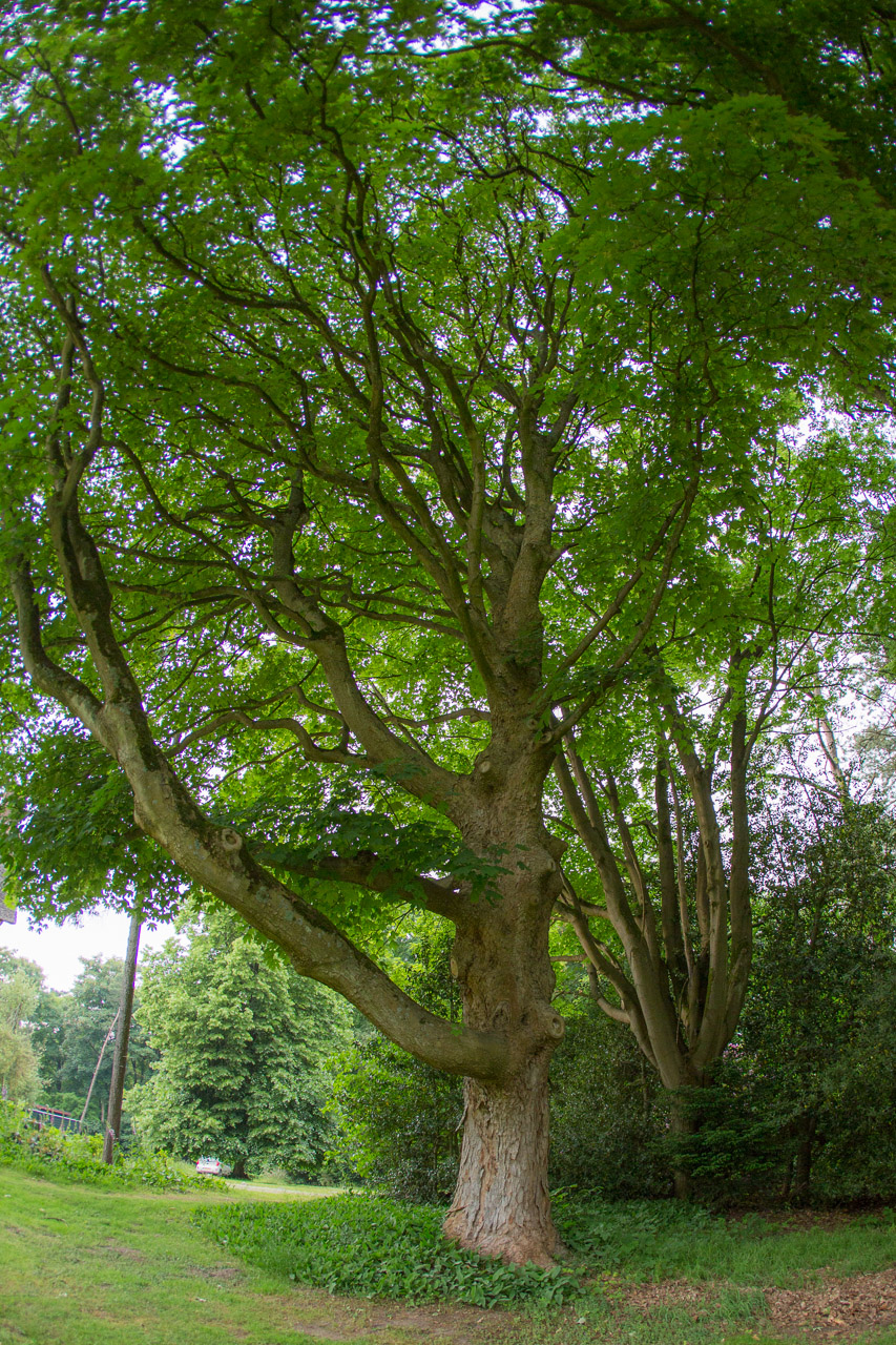 20130618194244 21016