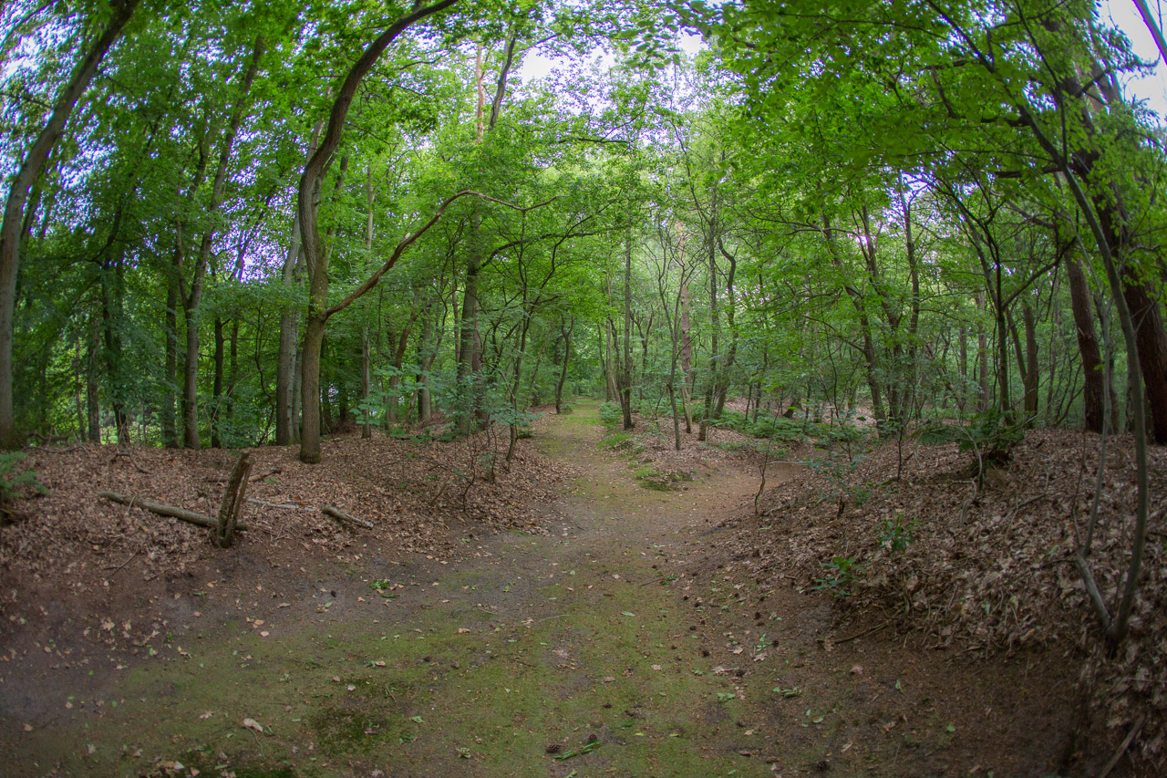 20130618194808 21054