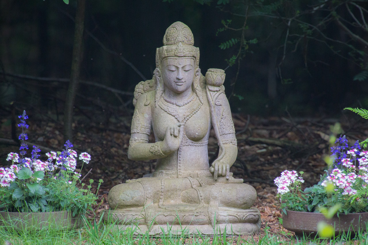 20130619165606 21144