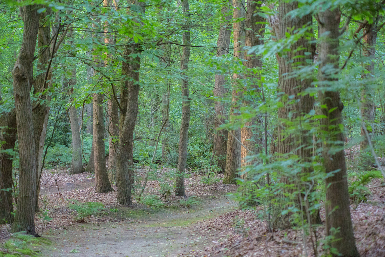 20130619205435 21369