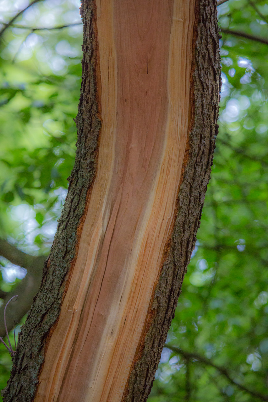 20130619210000 21403