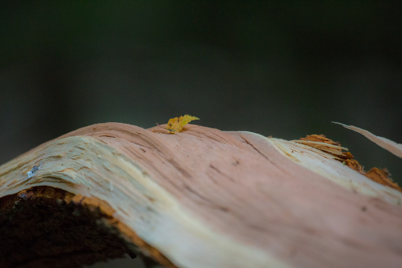 20130619210137 21415