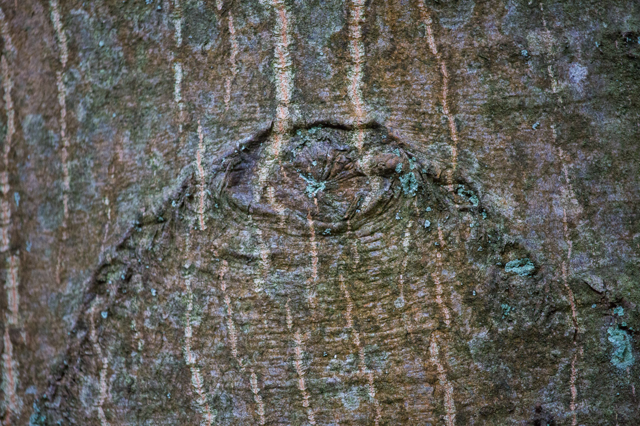 20130619210354 21450