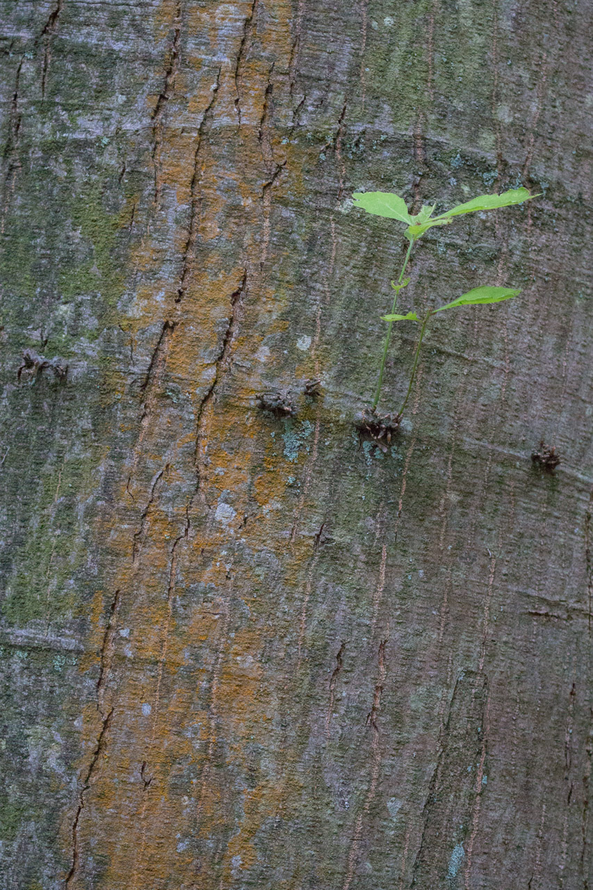 20130619212520 21624