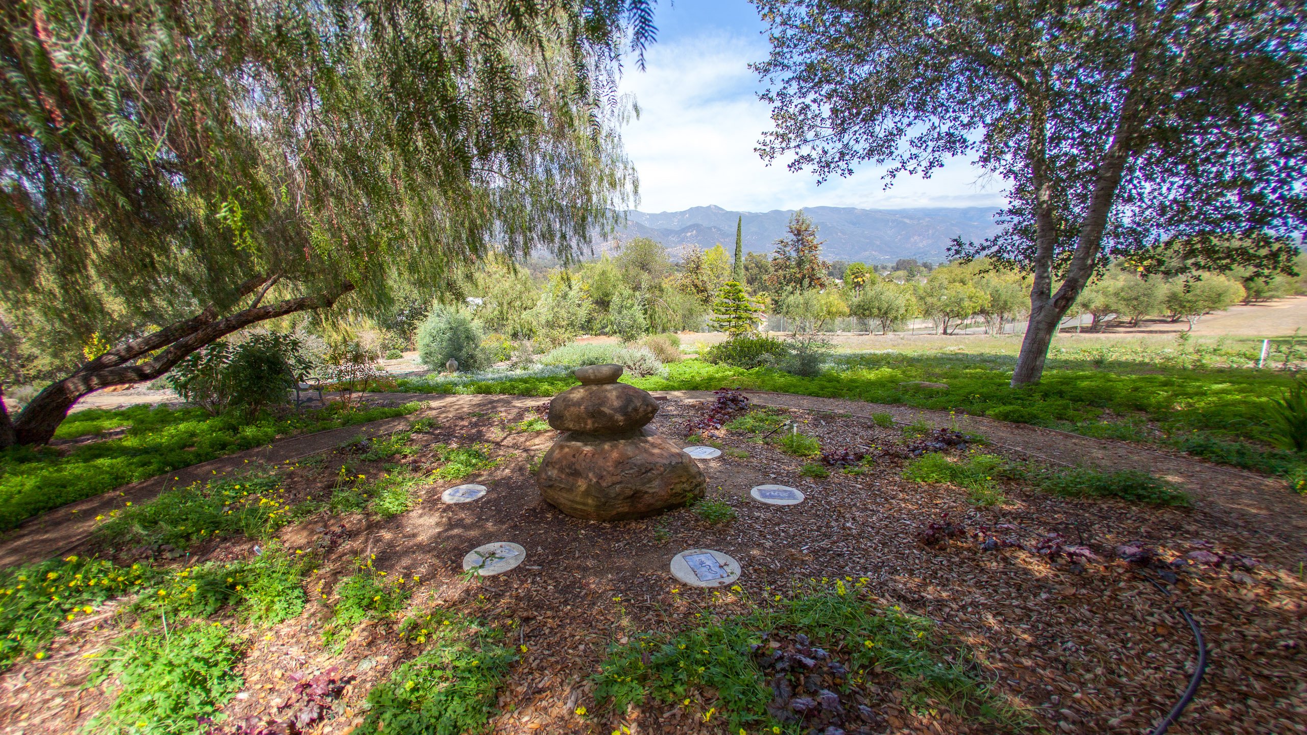 20120329153539 IMG 8535