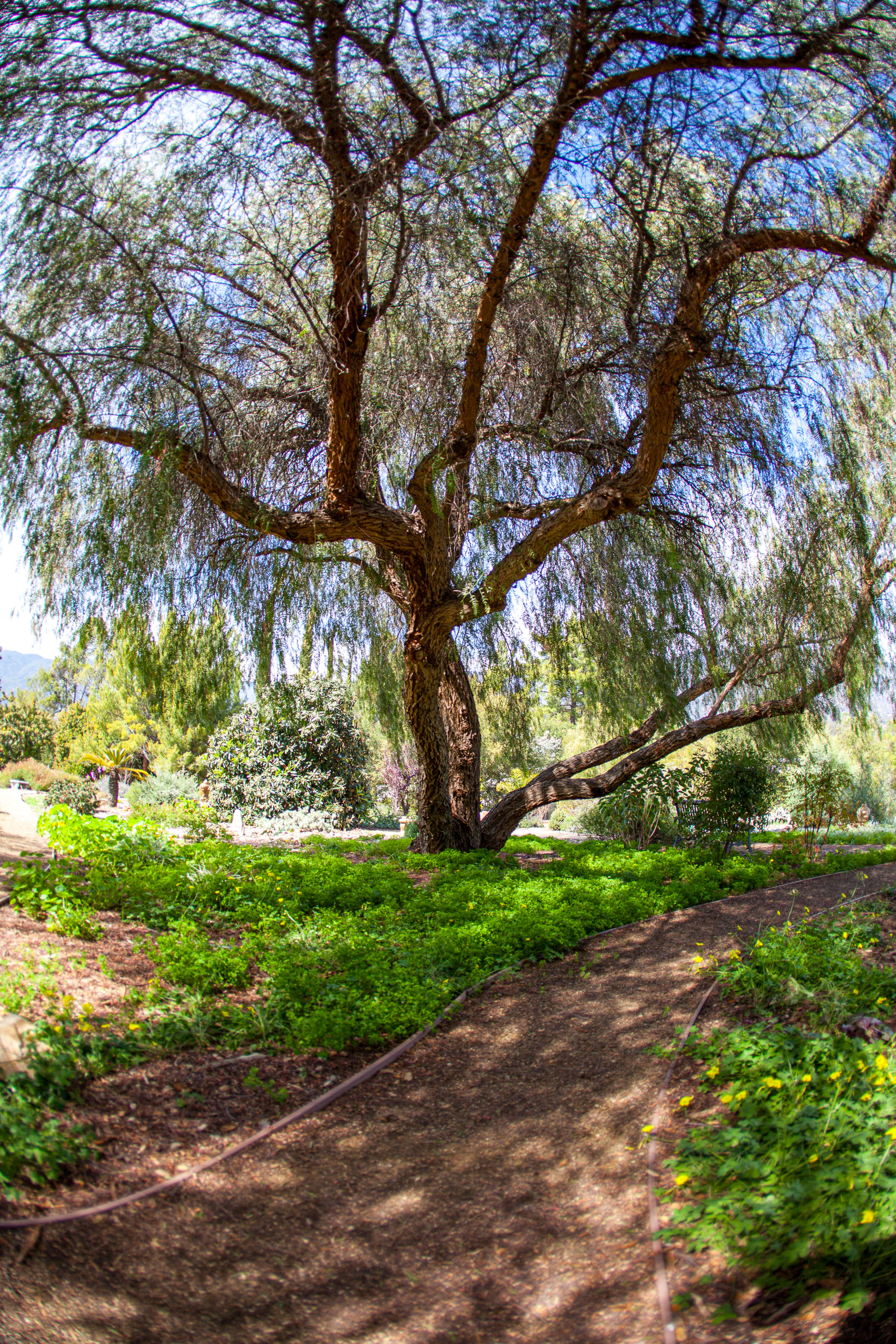 20120329153550 IMG 8537