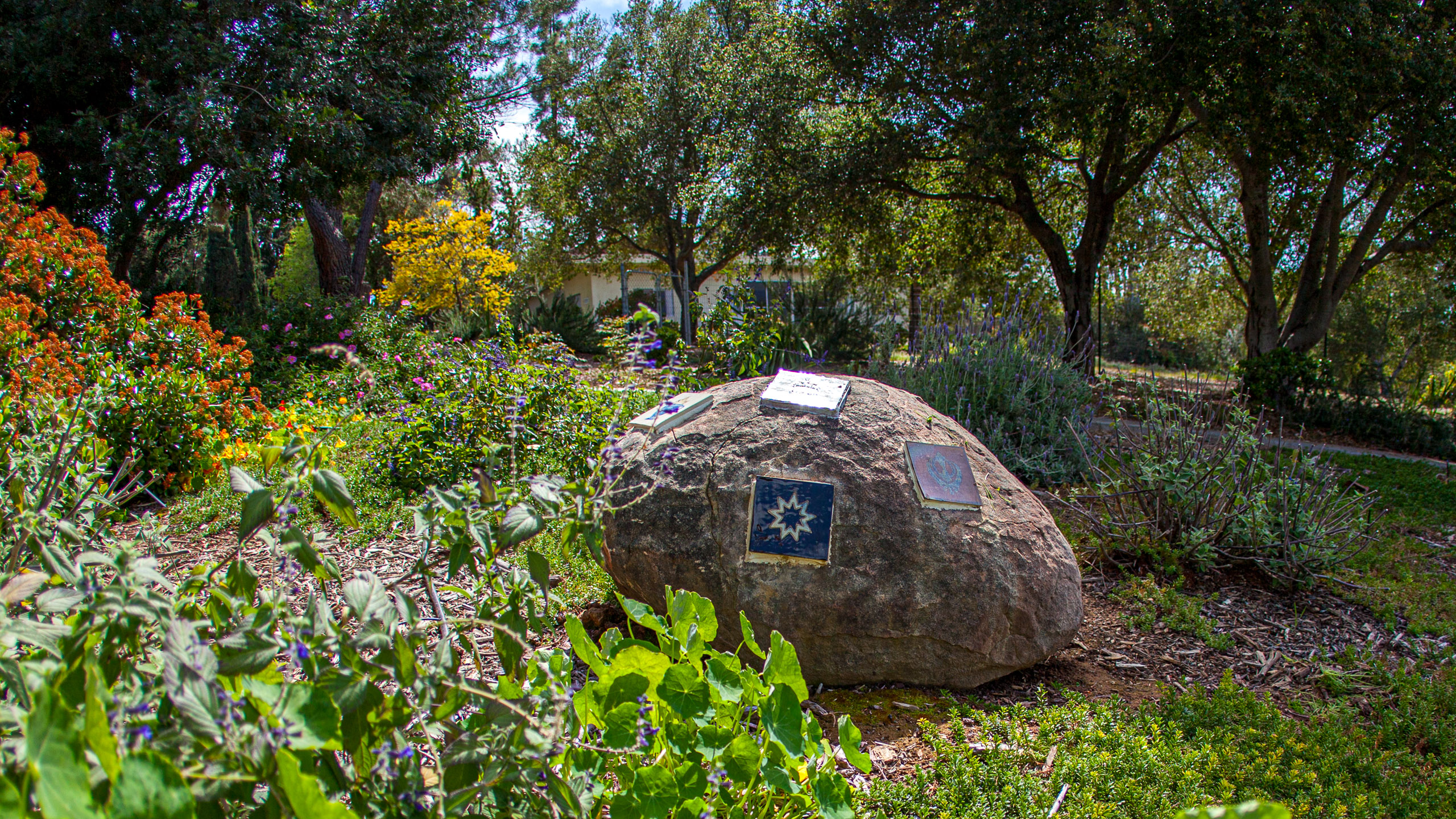 20120329153948 IMG 8557