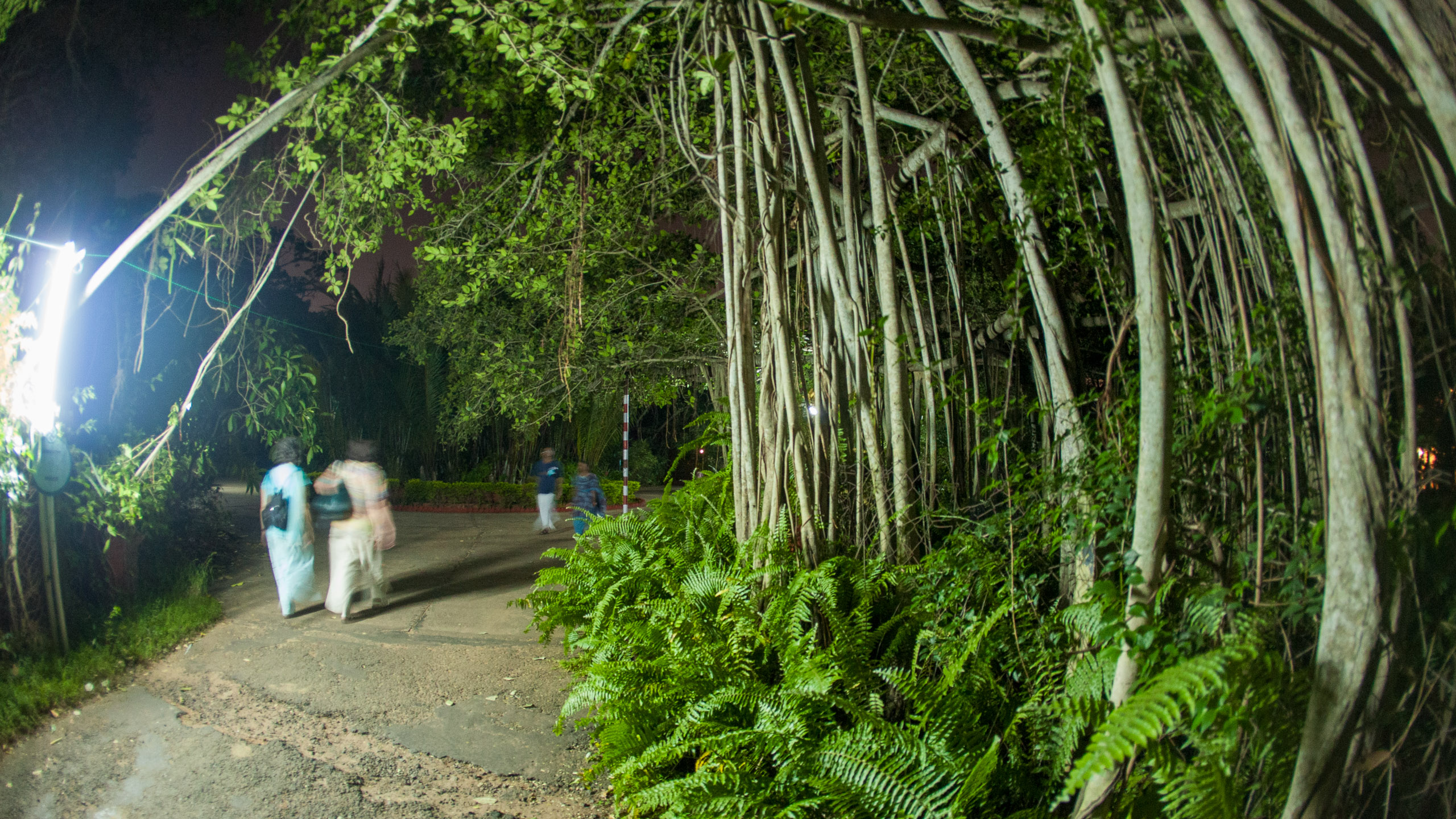 20101226190504 IMG 9672