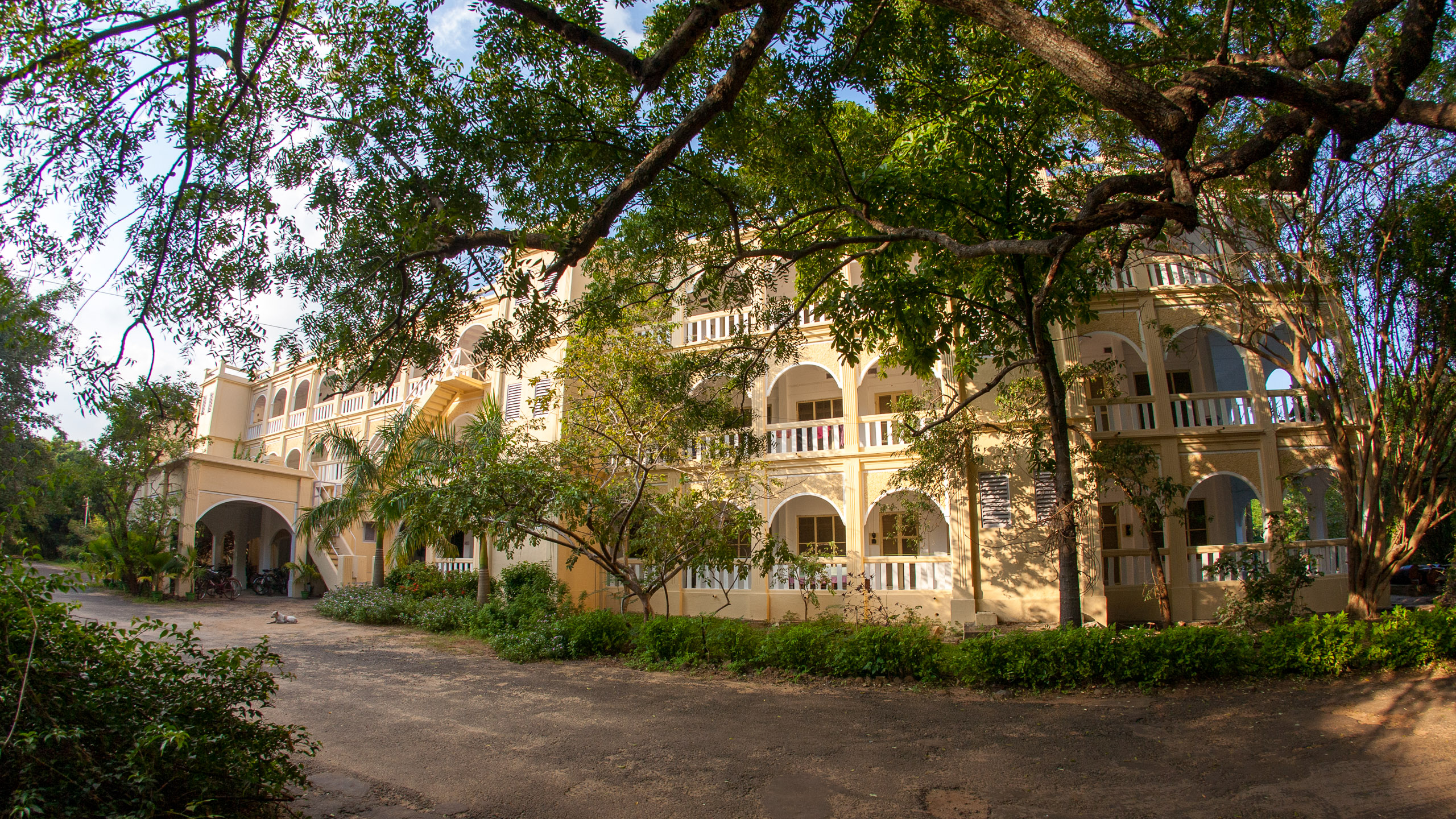 20101226161206 IMG 9607