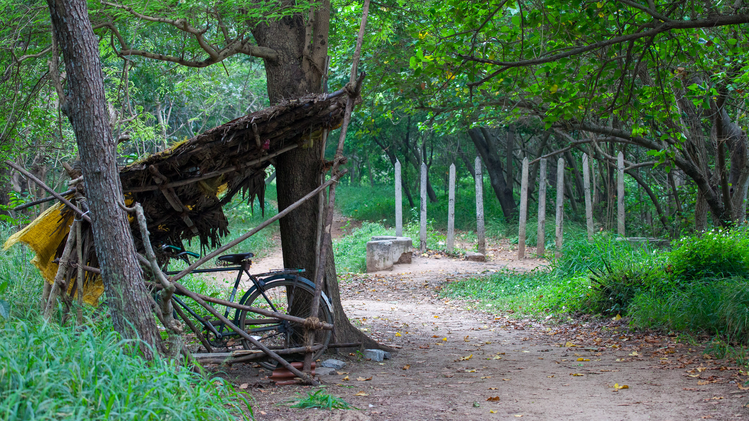 20110102160948 IMG 2909