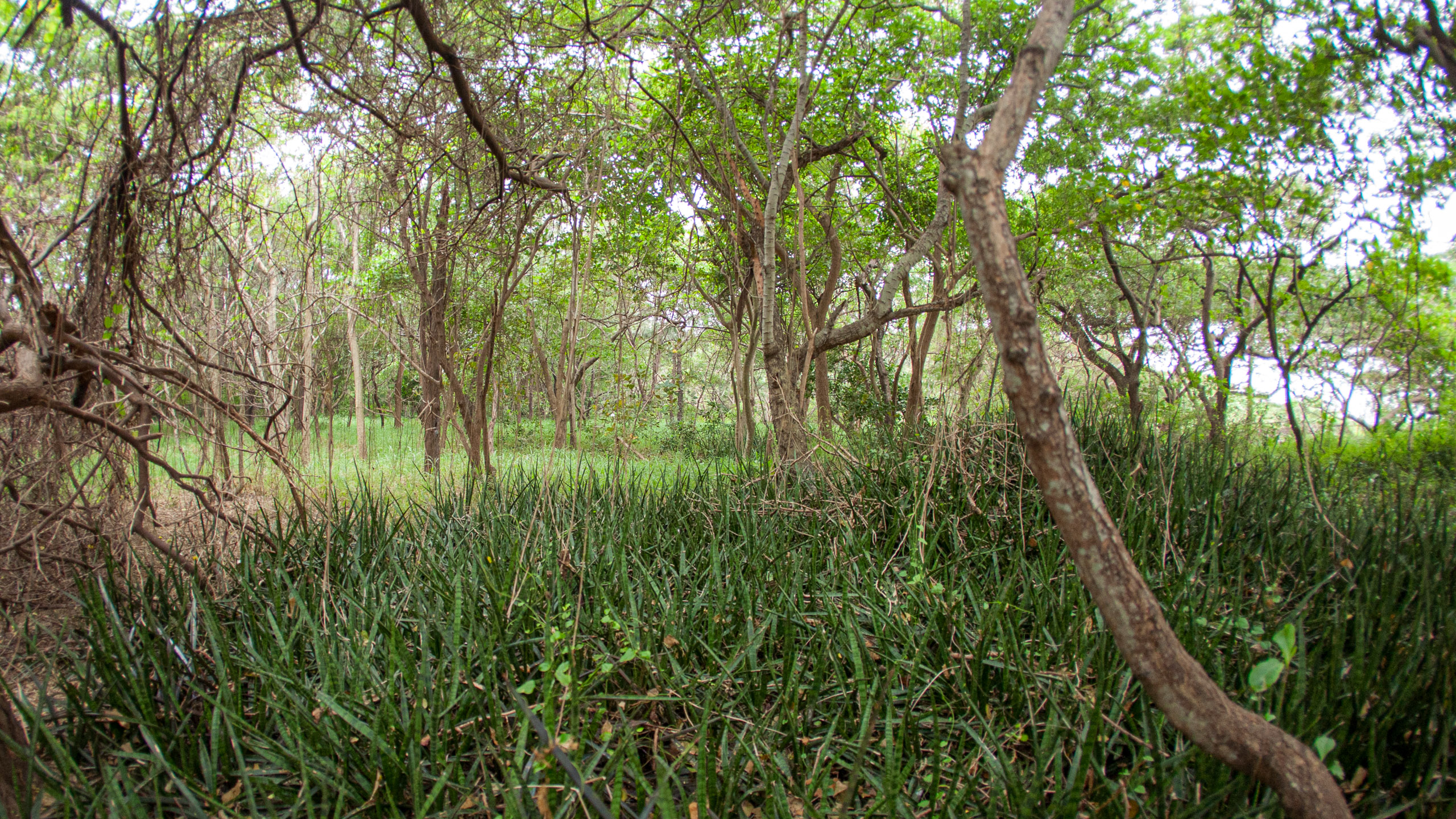 20110102171018 IMG 0435