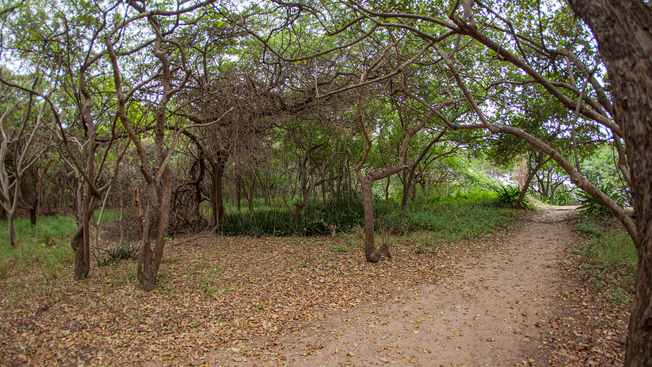 20110102171148 IMG 0443