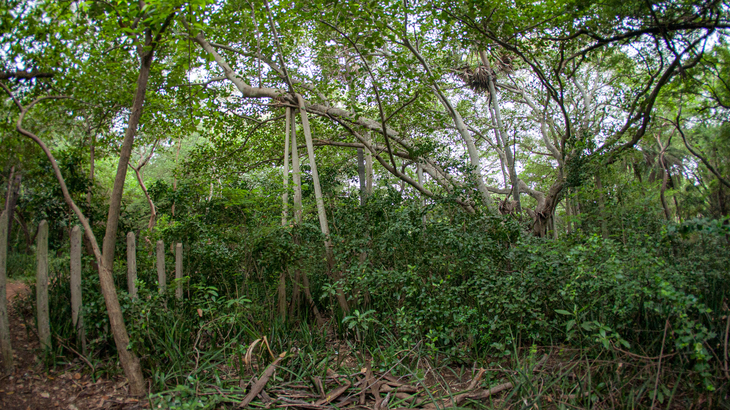 20110102172038 IMG 0480