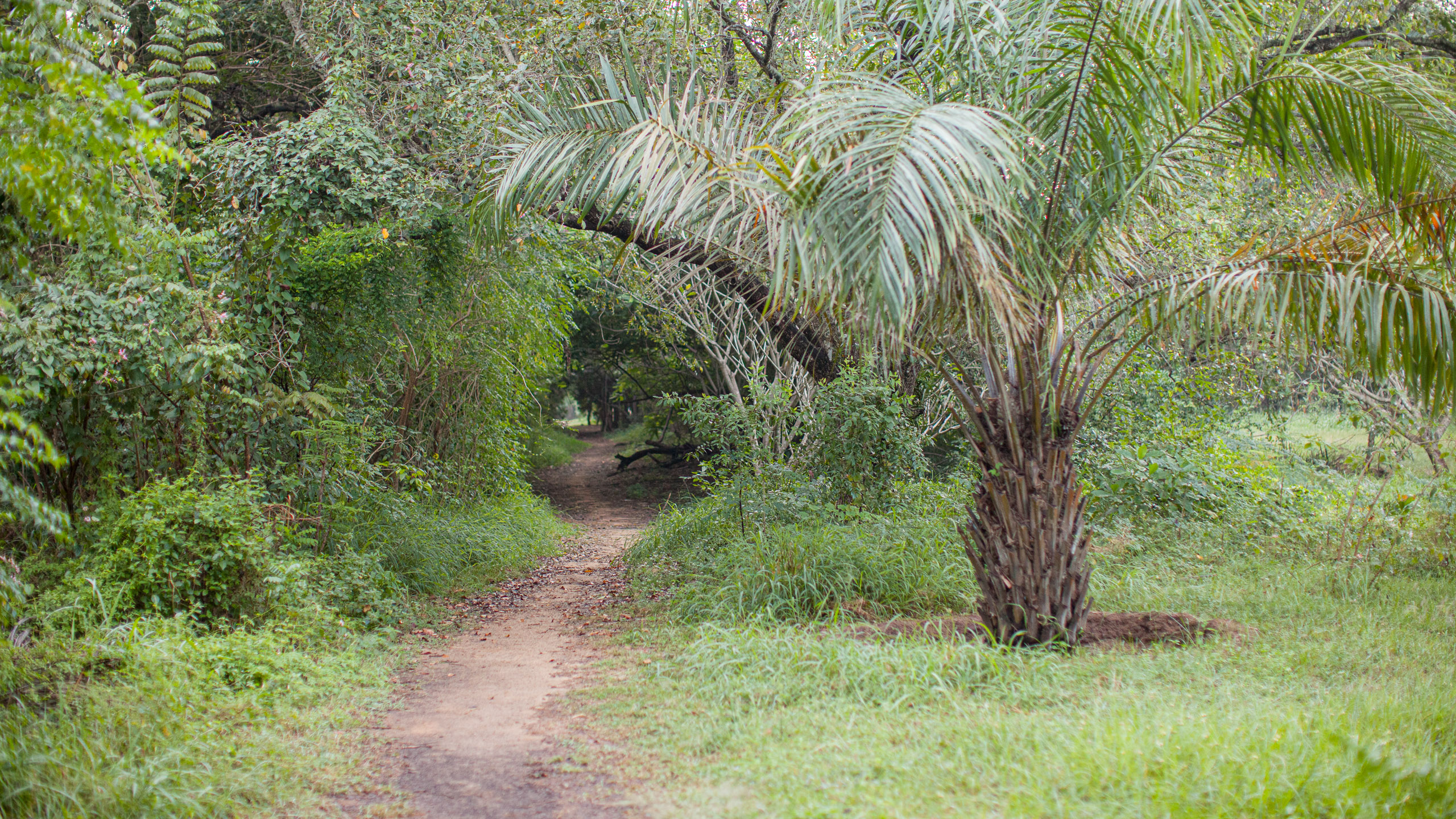 20110103062829 IMG 3229