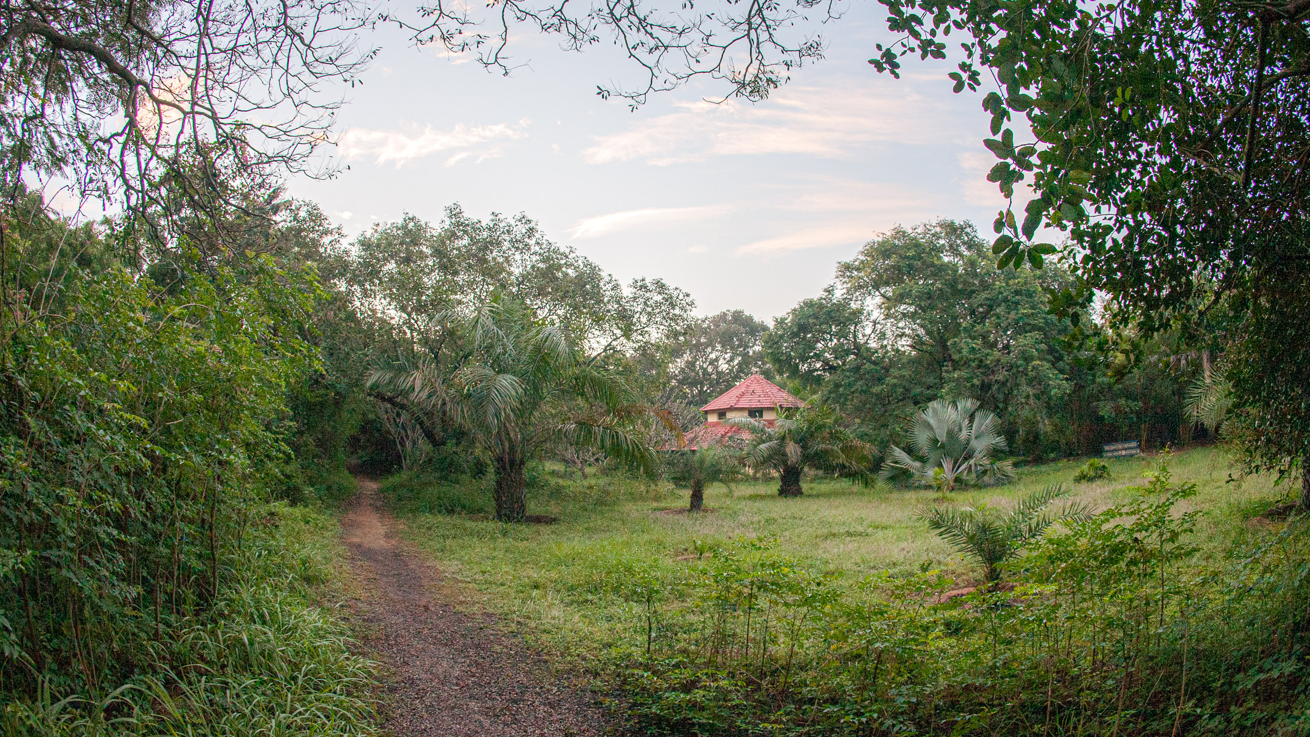 20110103063028 IMG 0512