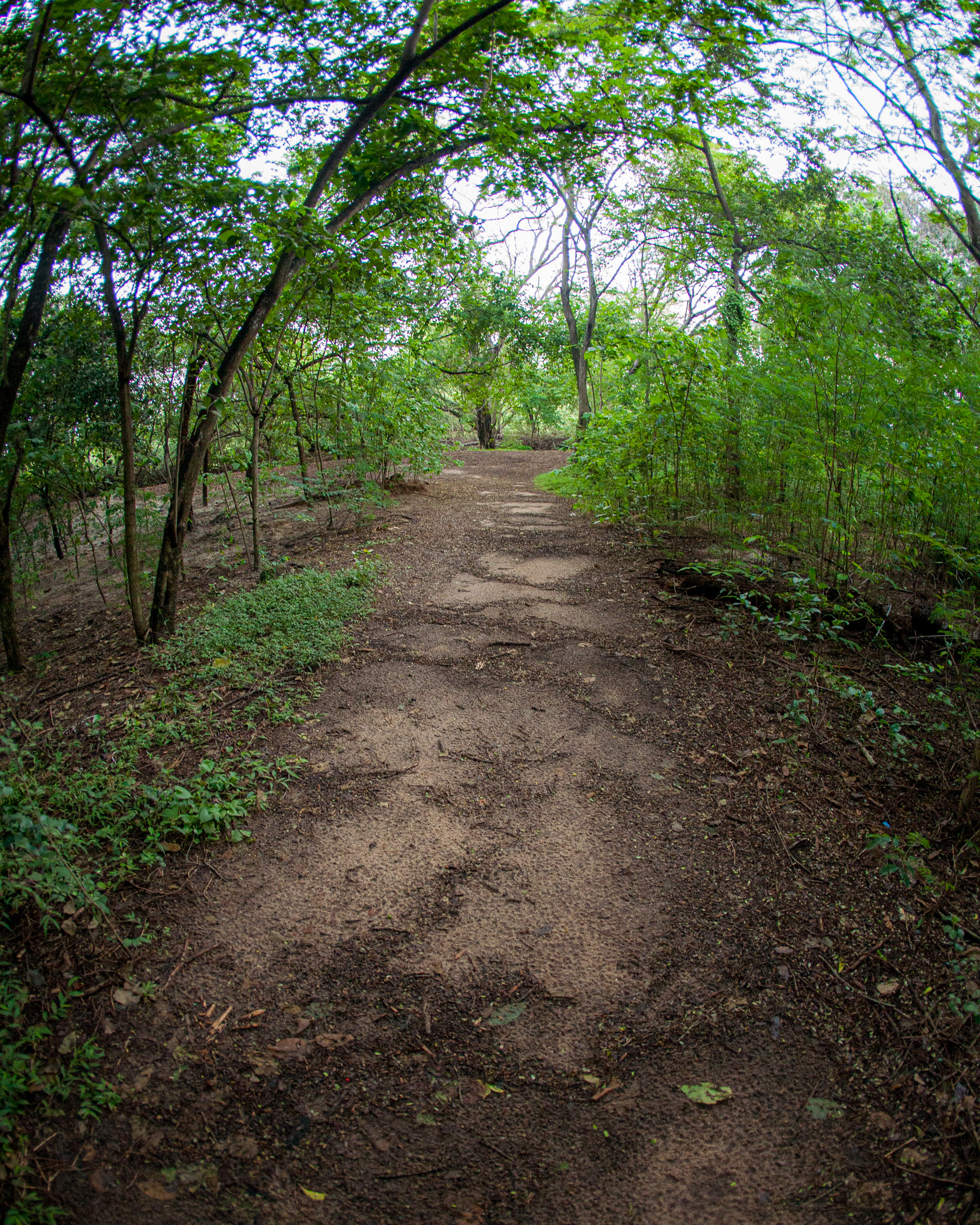 20110103063500 IMG 0531