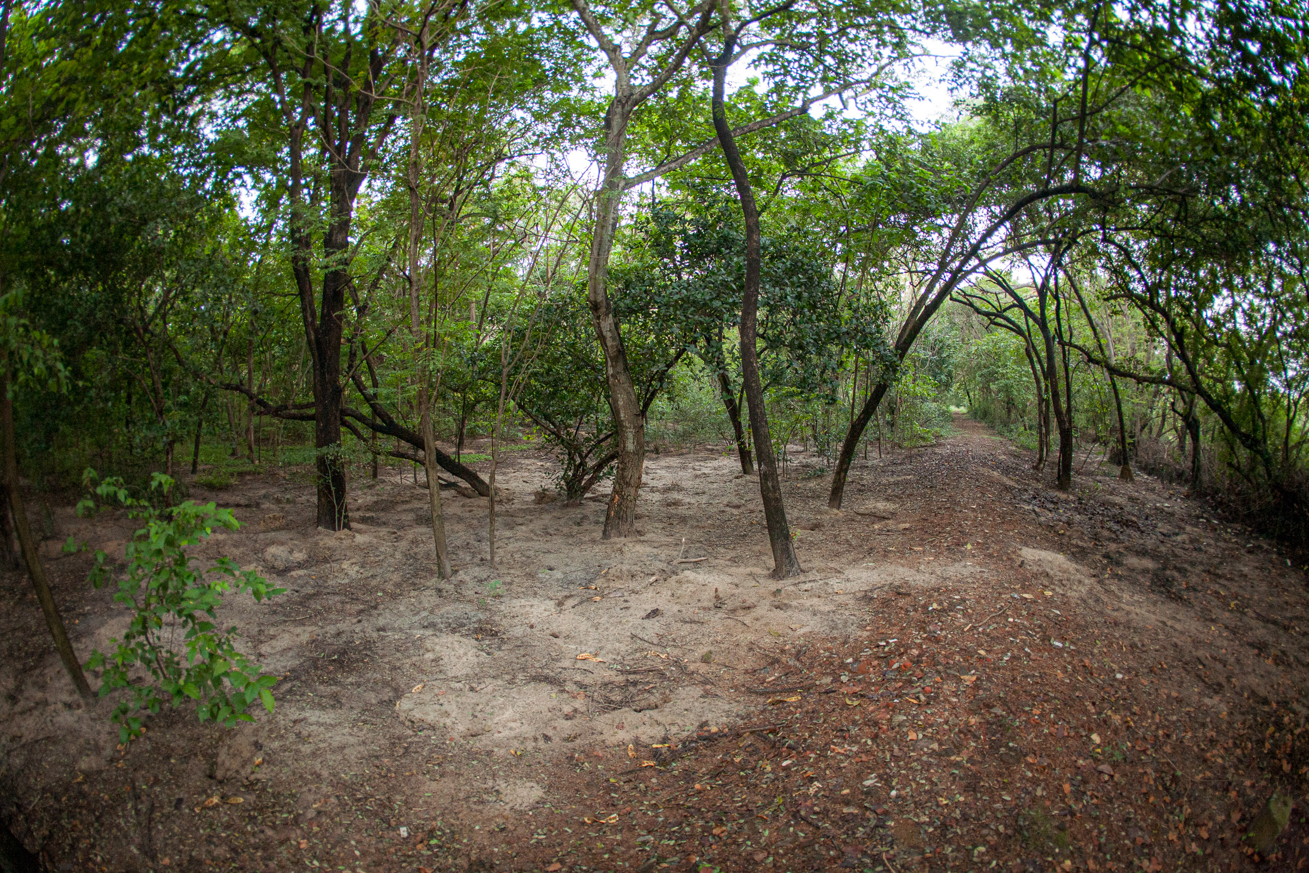 20110103063716 IMG 0537