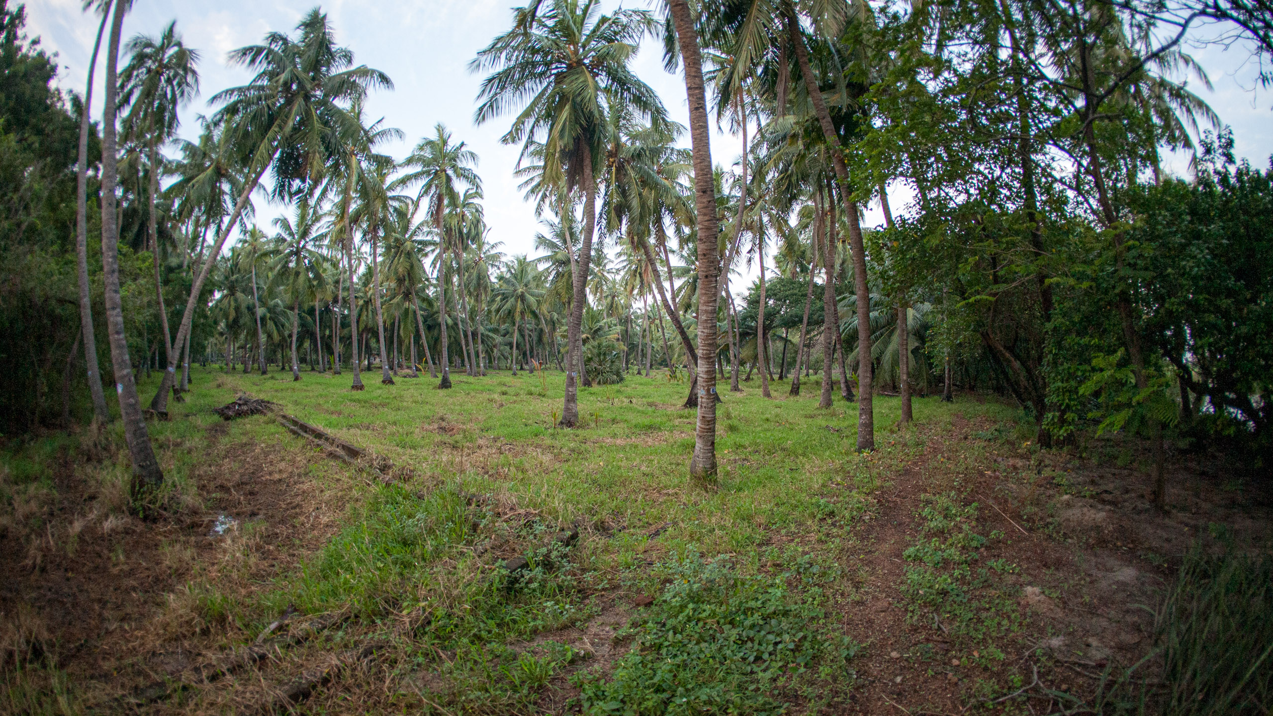 20110103064209 IMG 0554