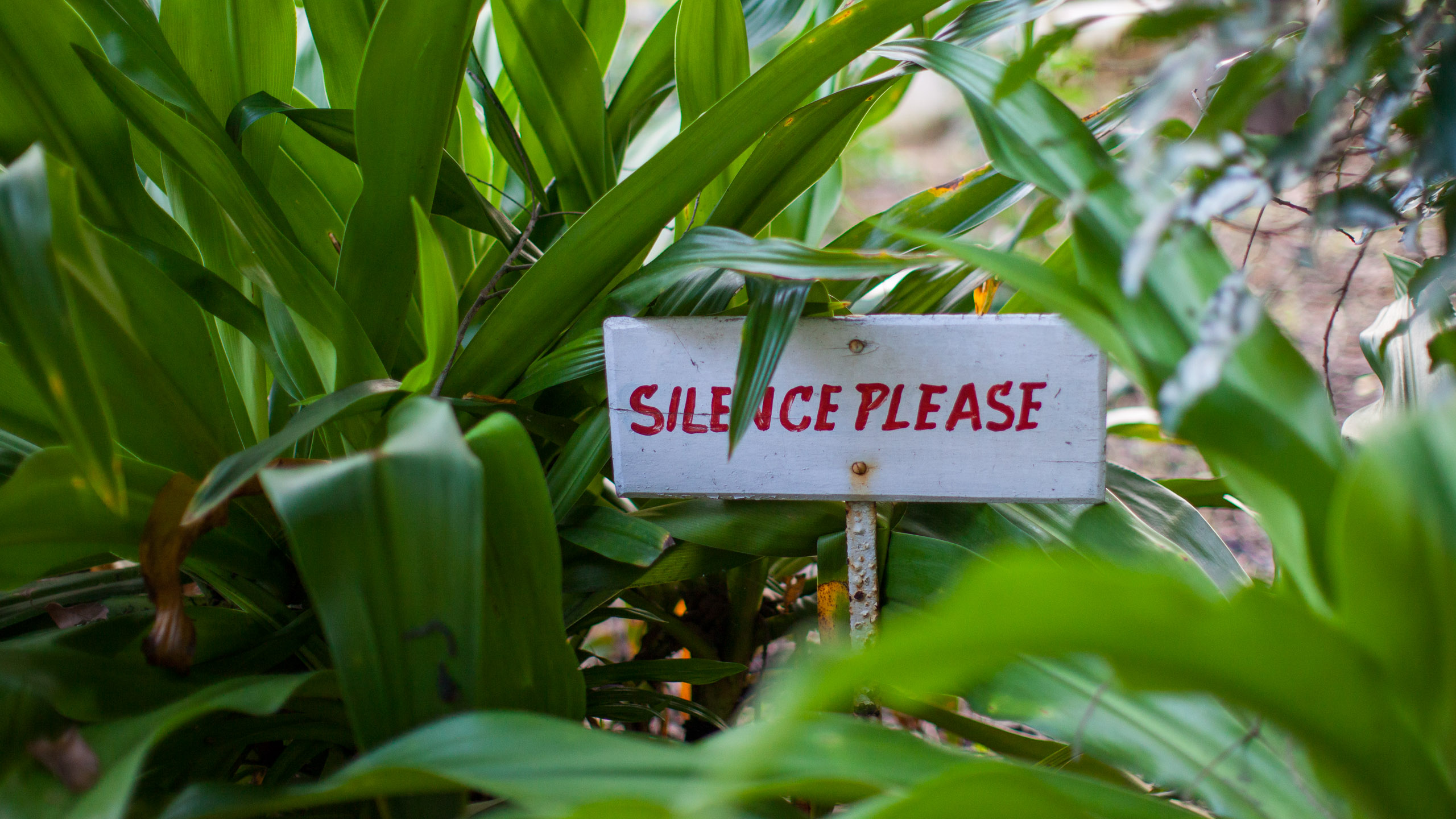 20110103070238 IMG 3331