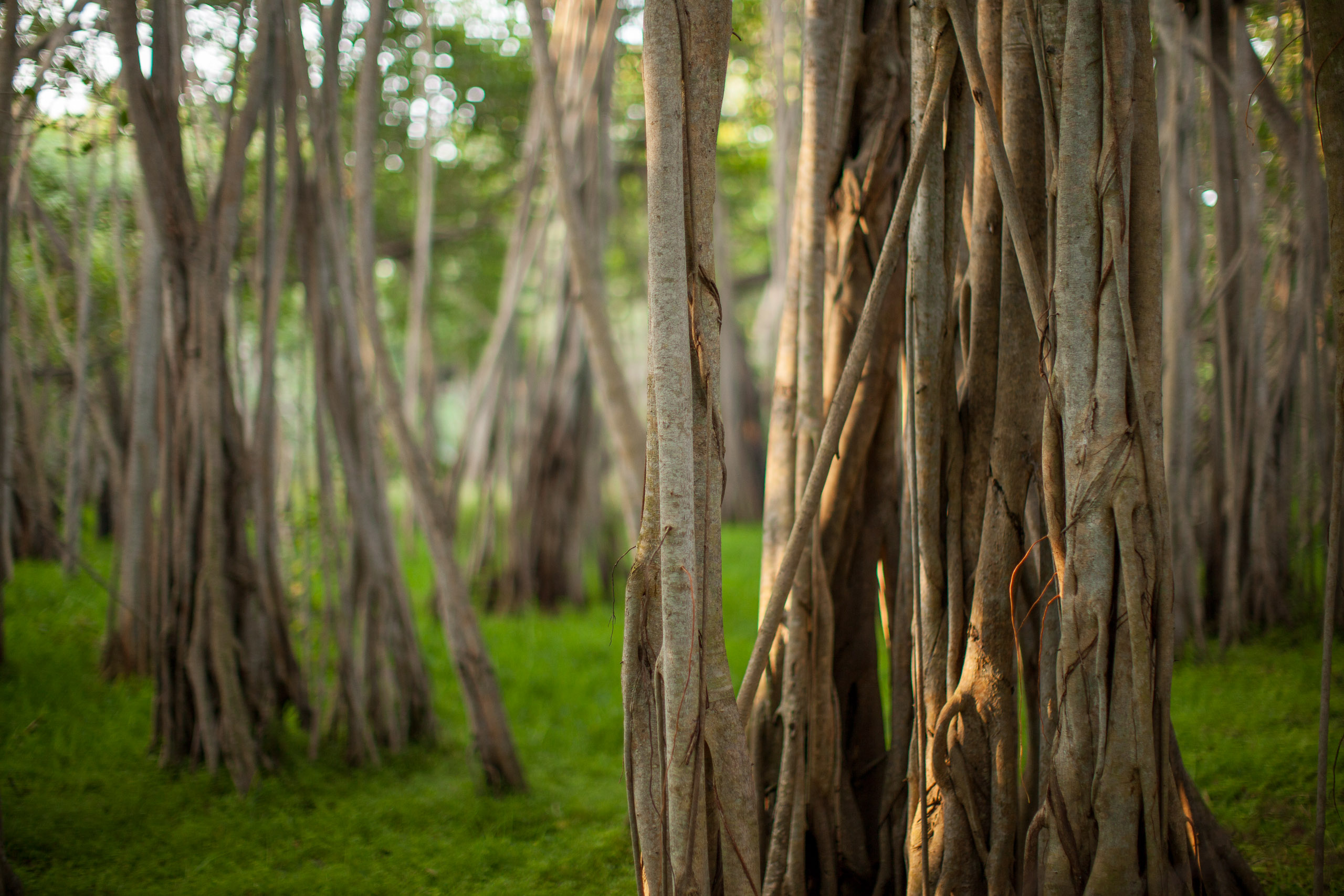 20110103071559 IMG 3423