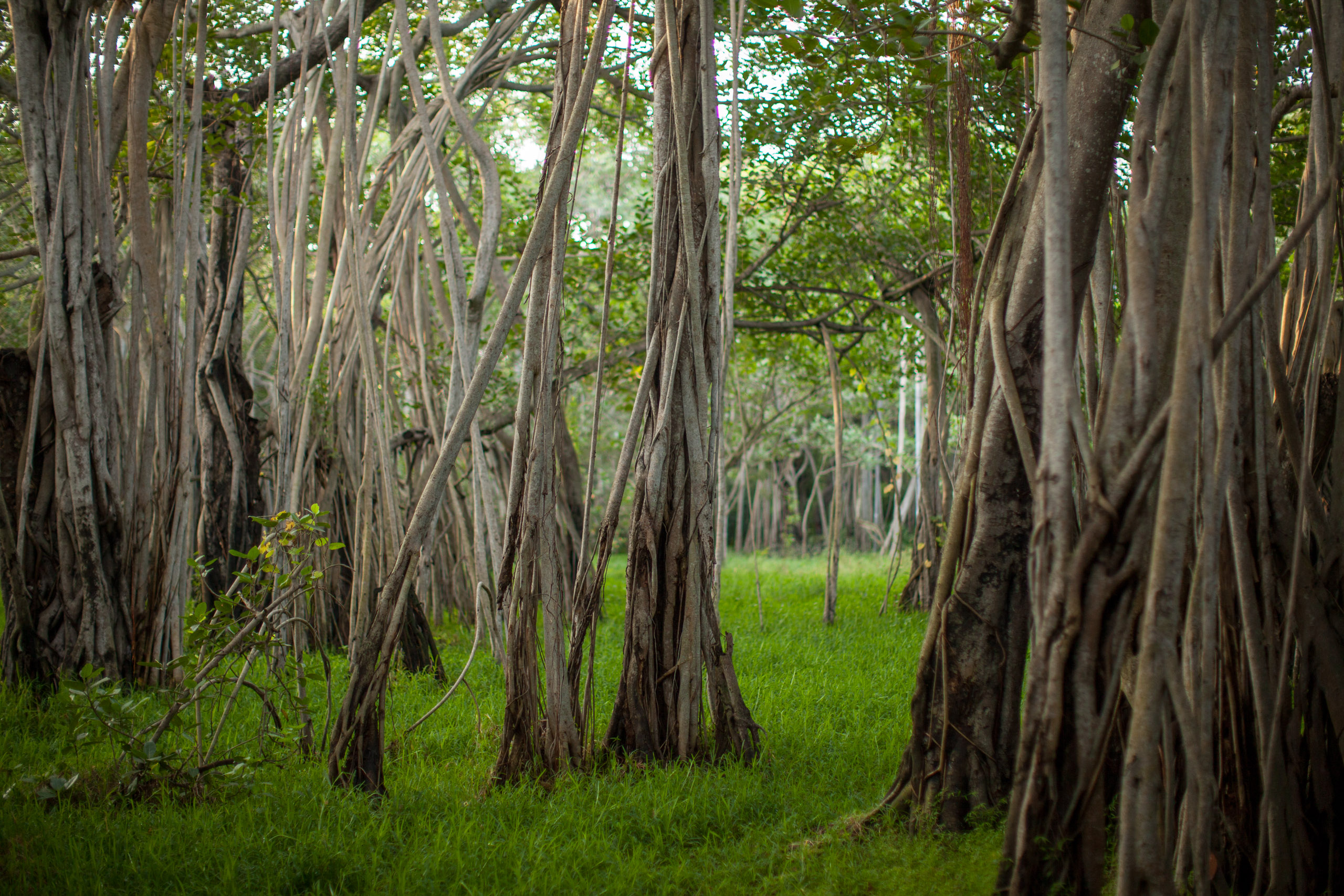 20110103071617 IMG 3424