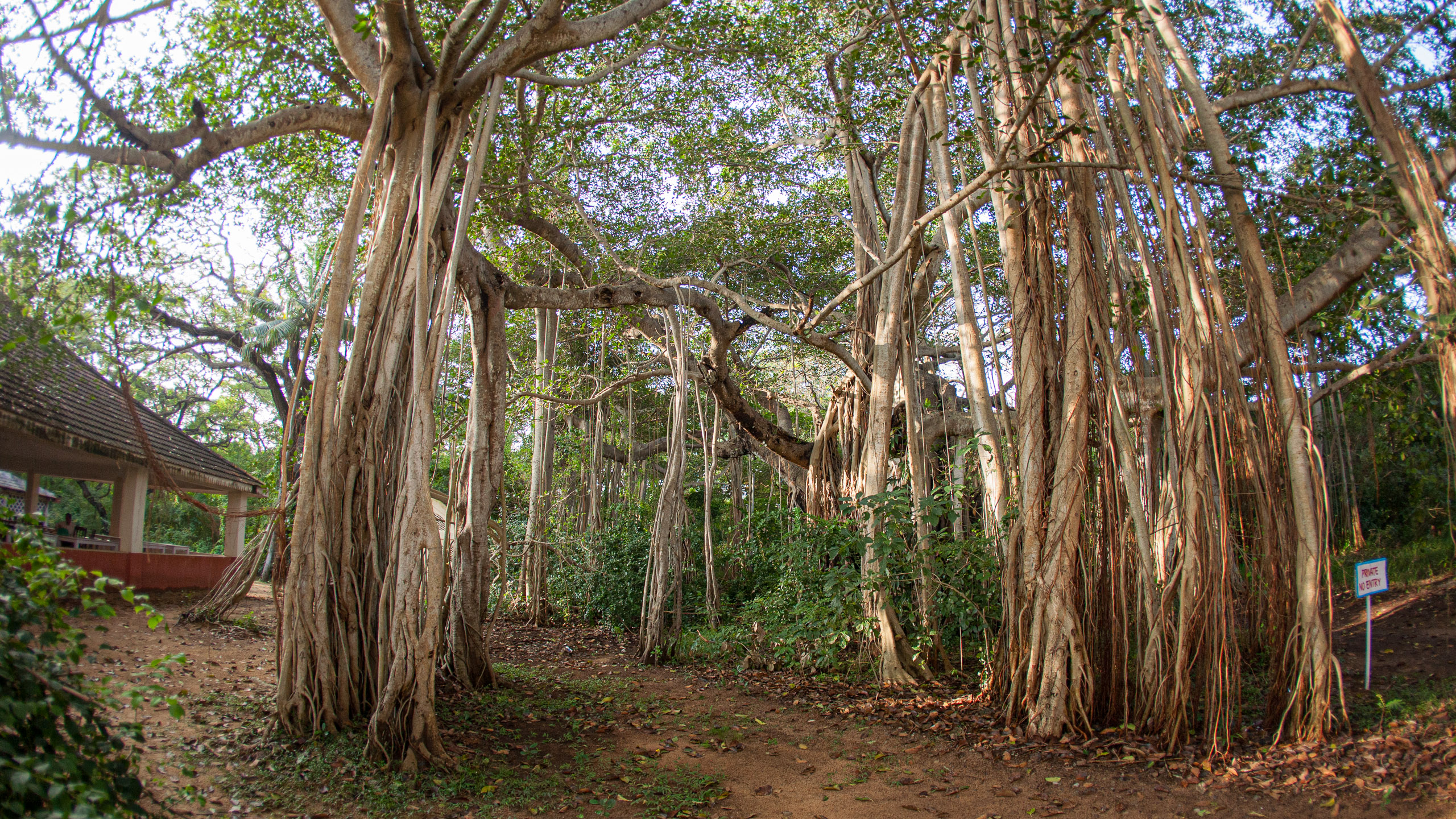 20110103075708 IMG 0586