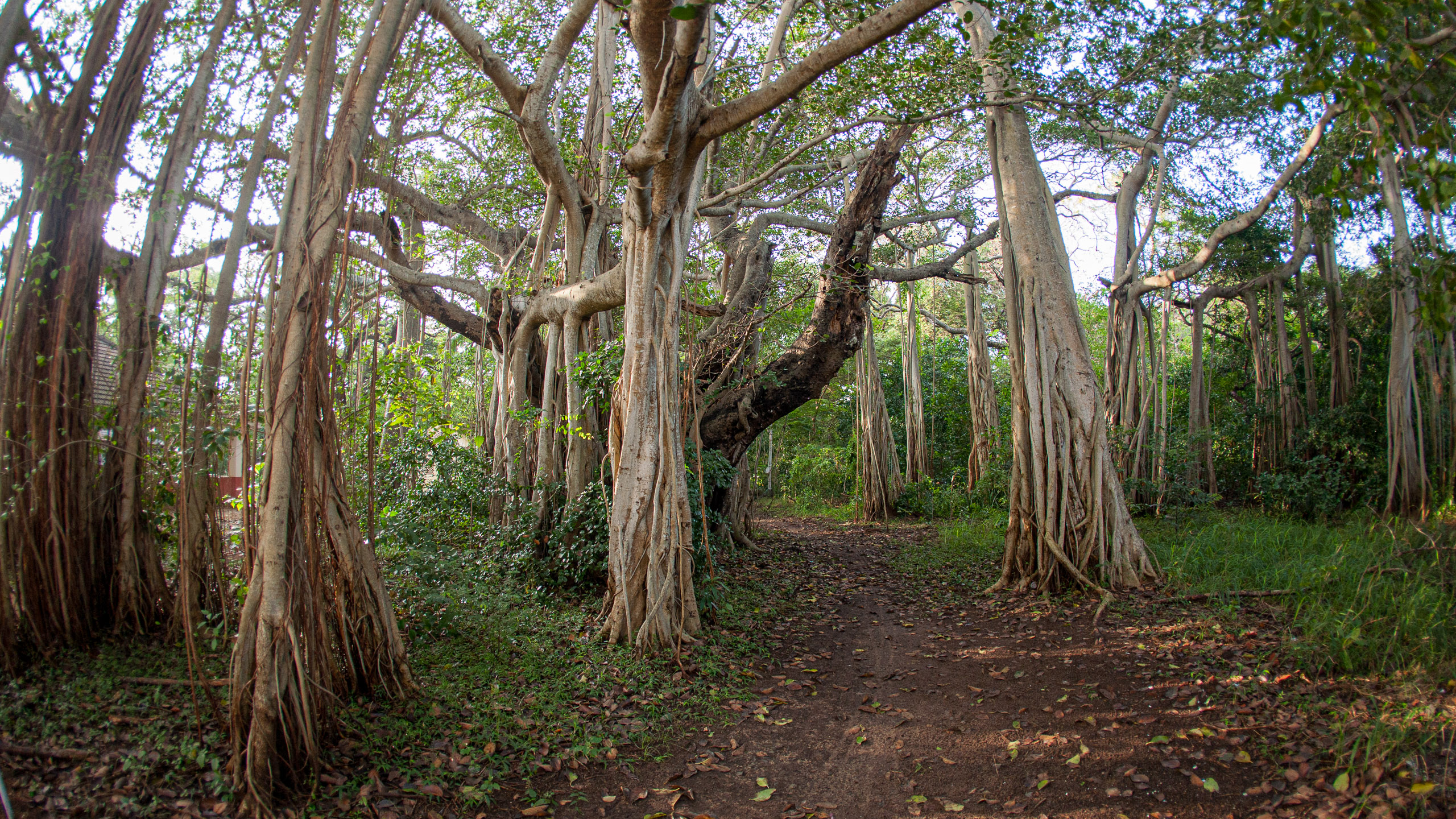 20110103075752 IMG 0596