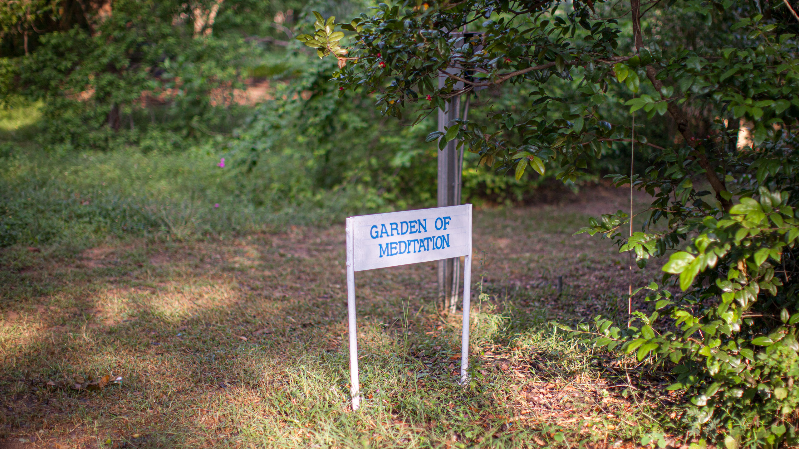 20110103080747 IMG 3539