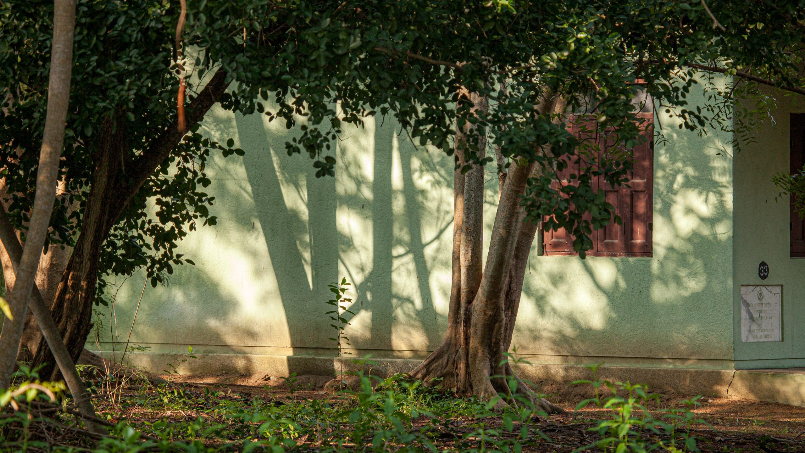 20110103082033 IMG 3553