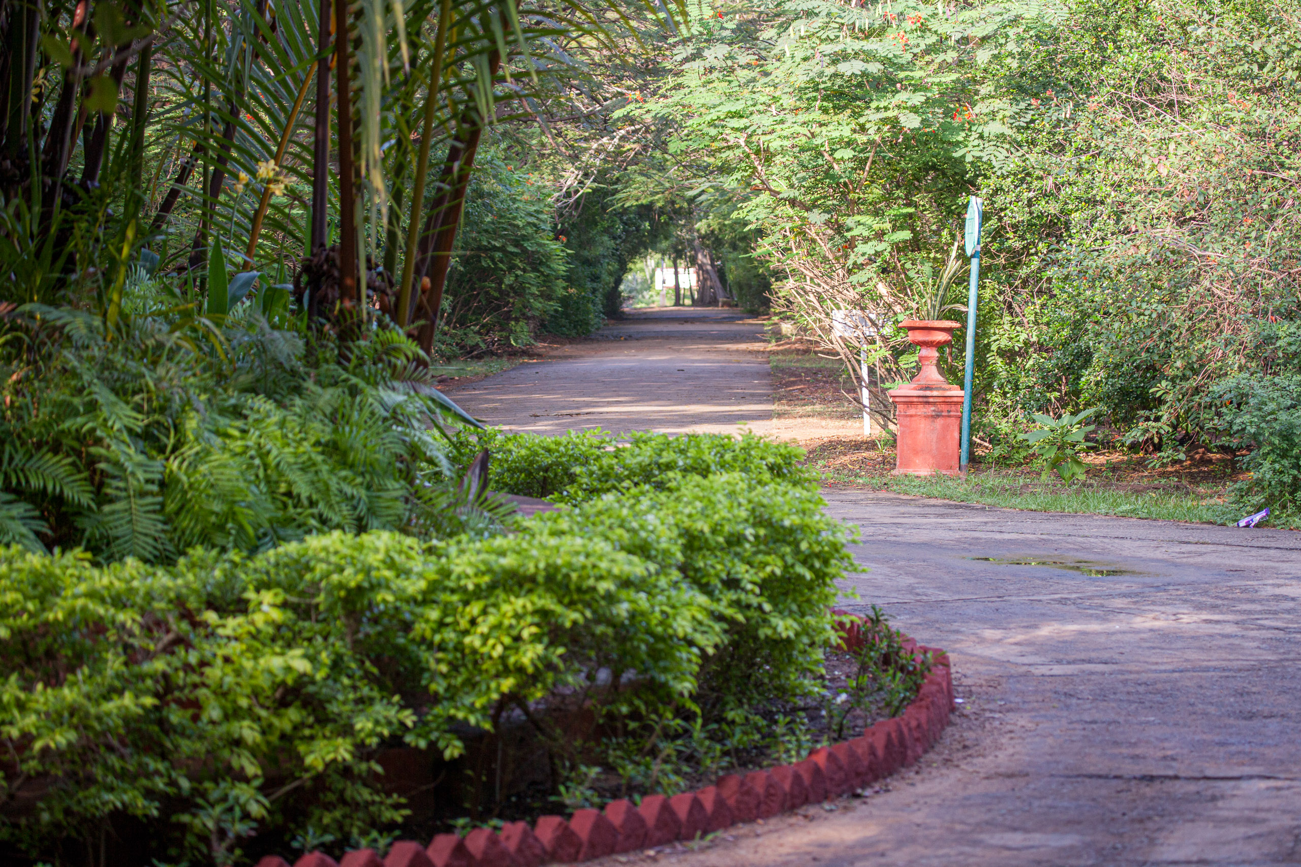 20110103082513 IMG 3576