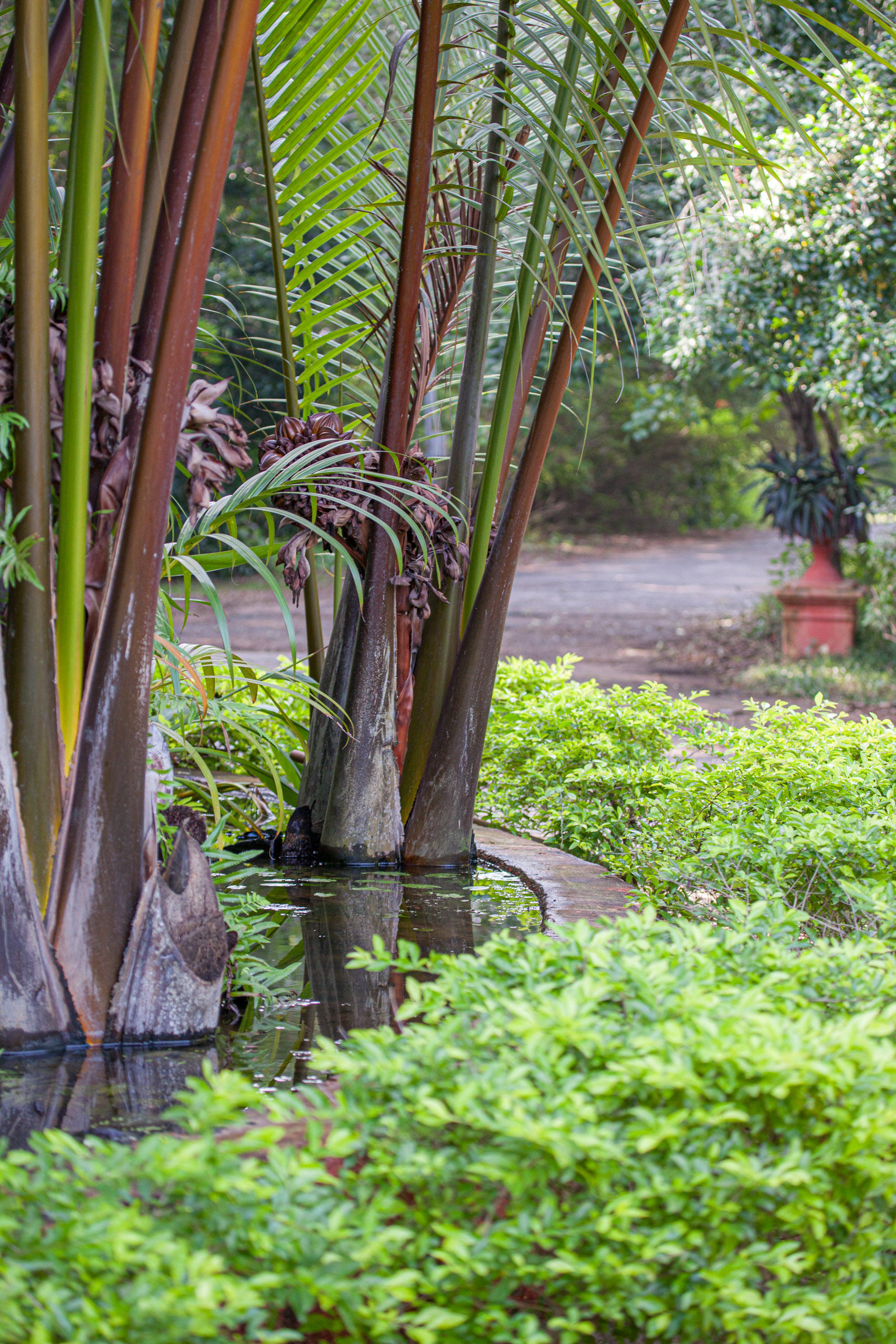 20110103082653 IMG 3586