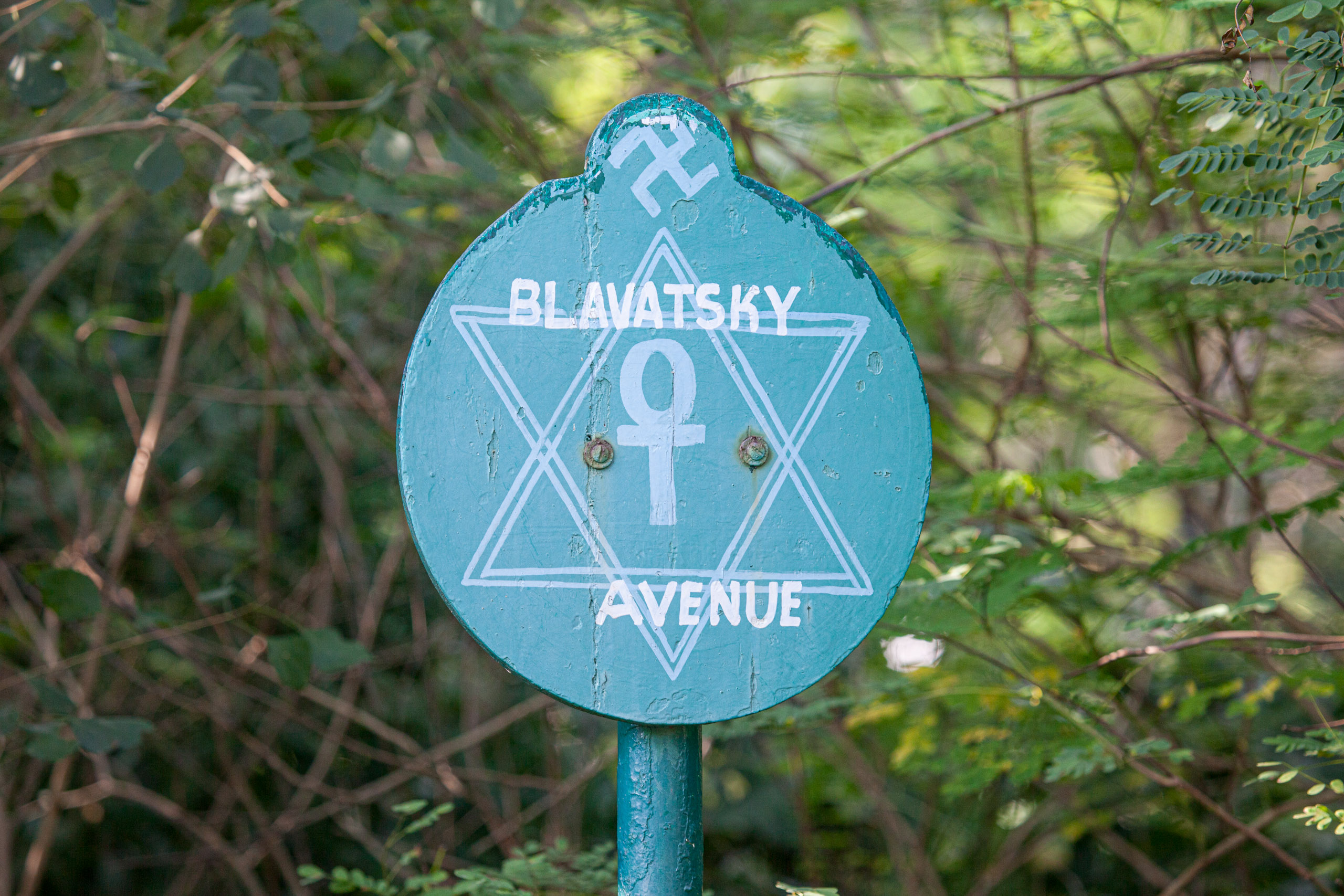 20110103083125 IMG 3619