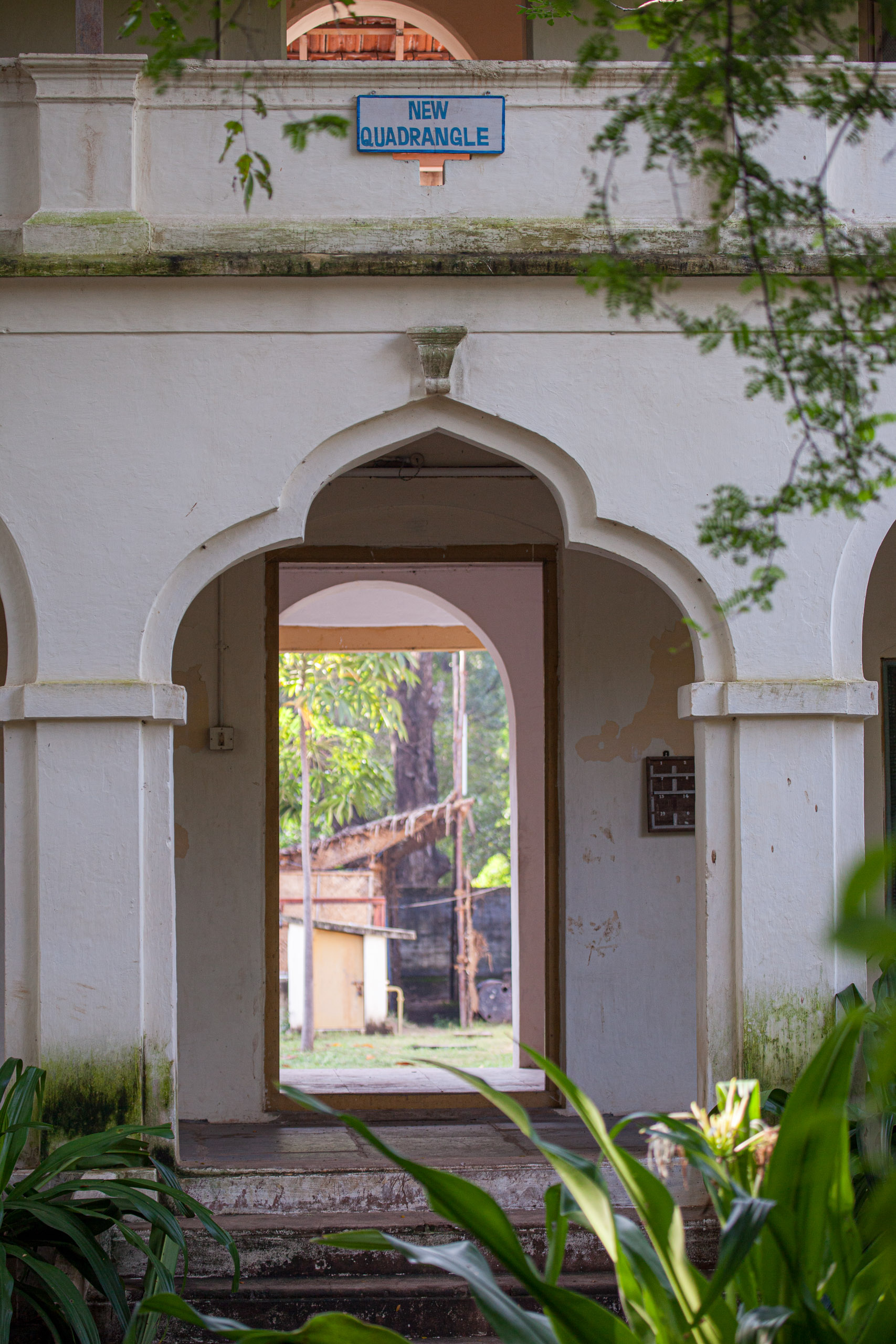 20110103083455 IMG 3651