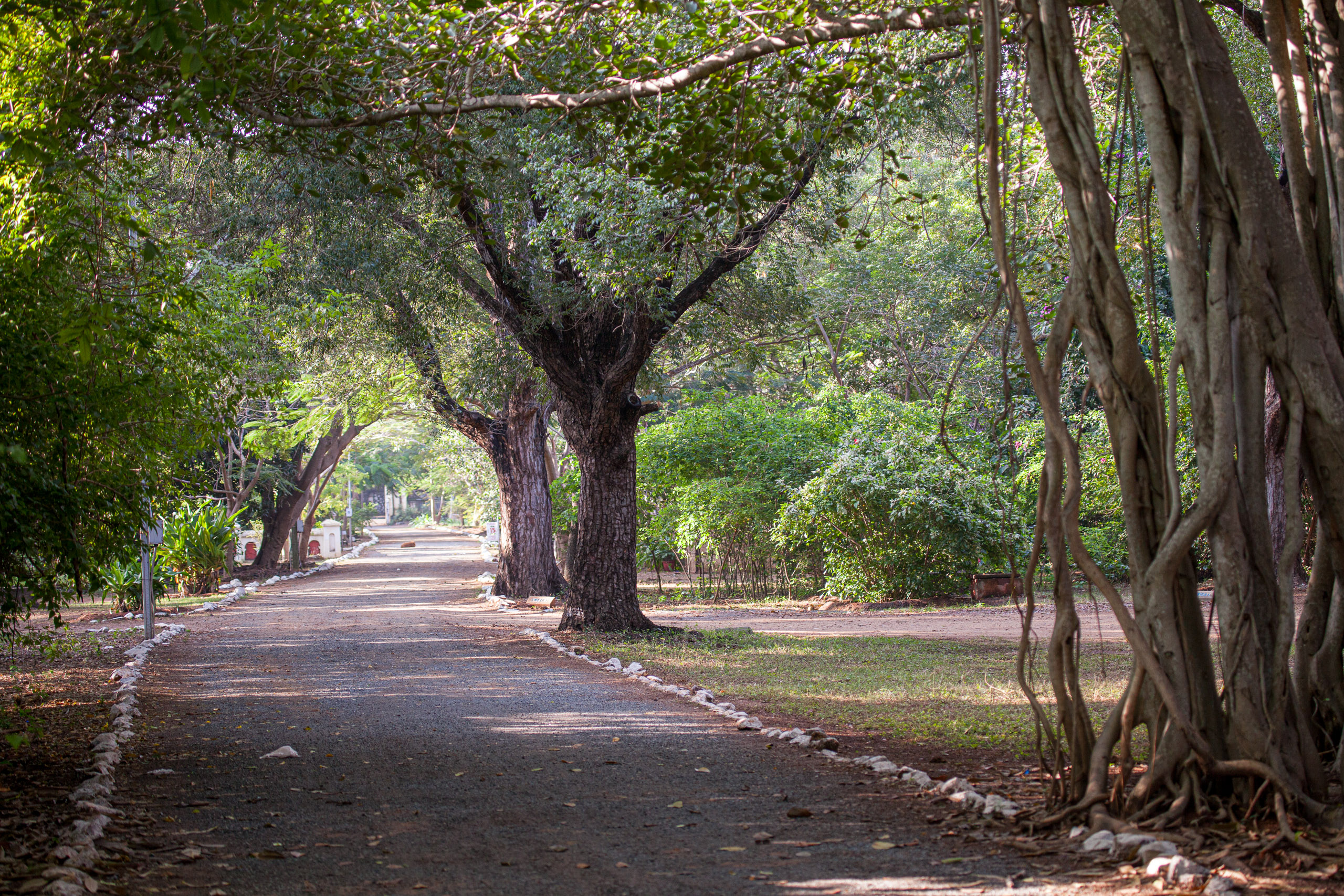 20110103083557 IMG 3657