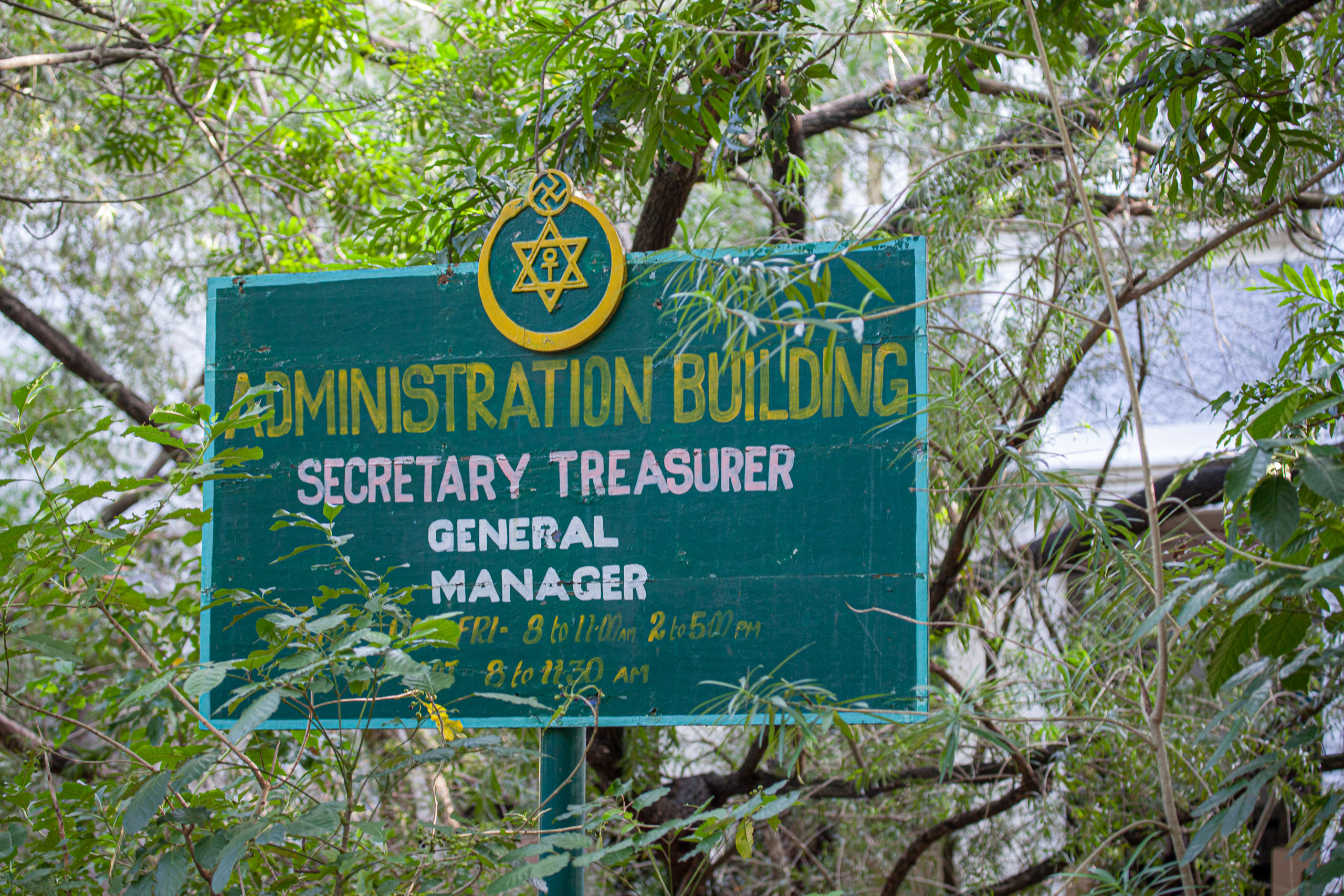 20110103084831 IMG 3726