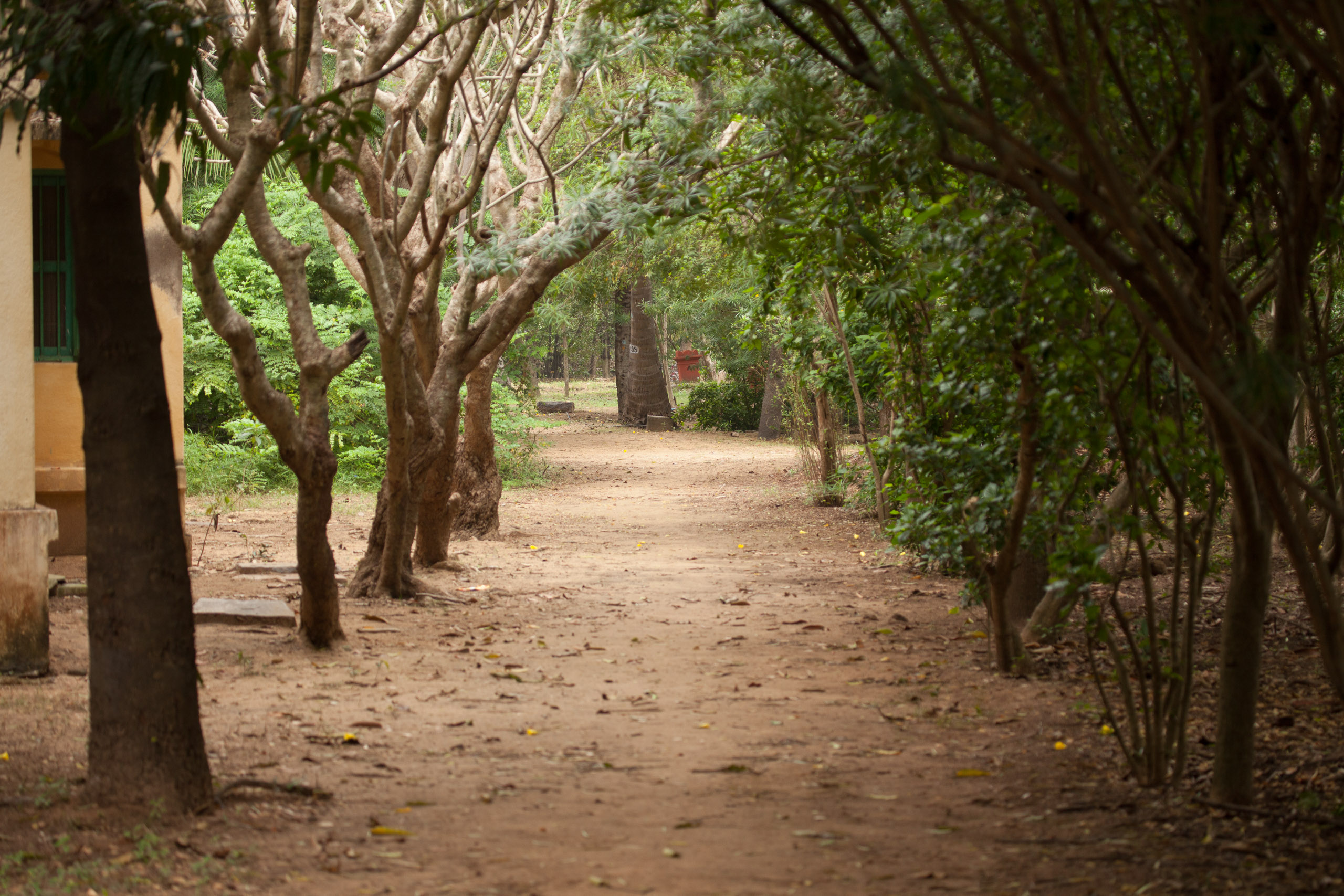 20110104090512 IMG 4433